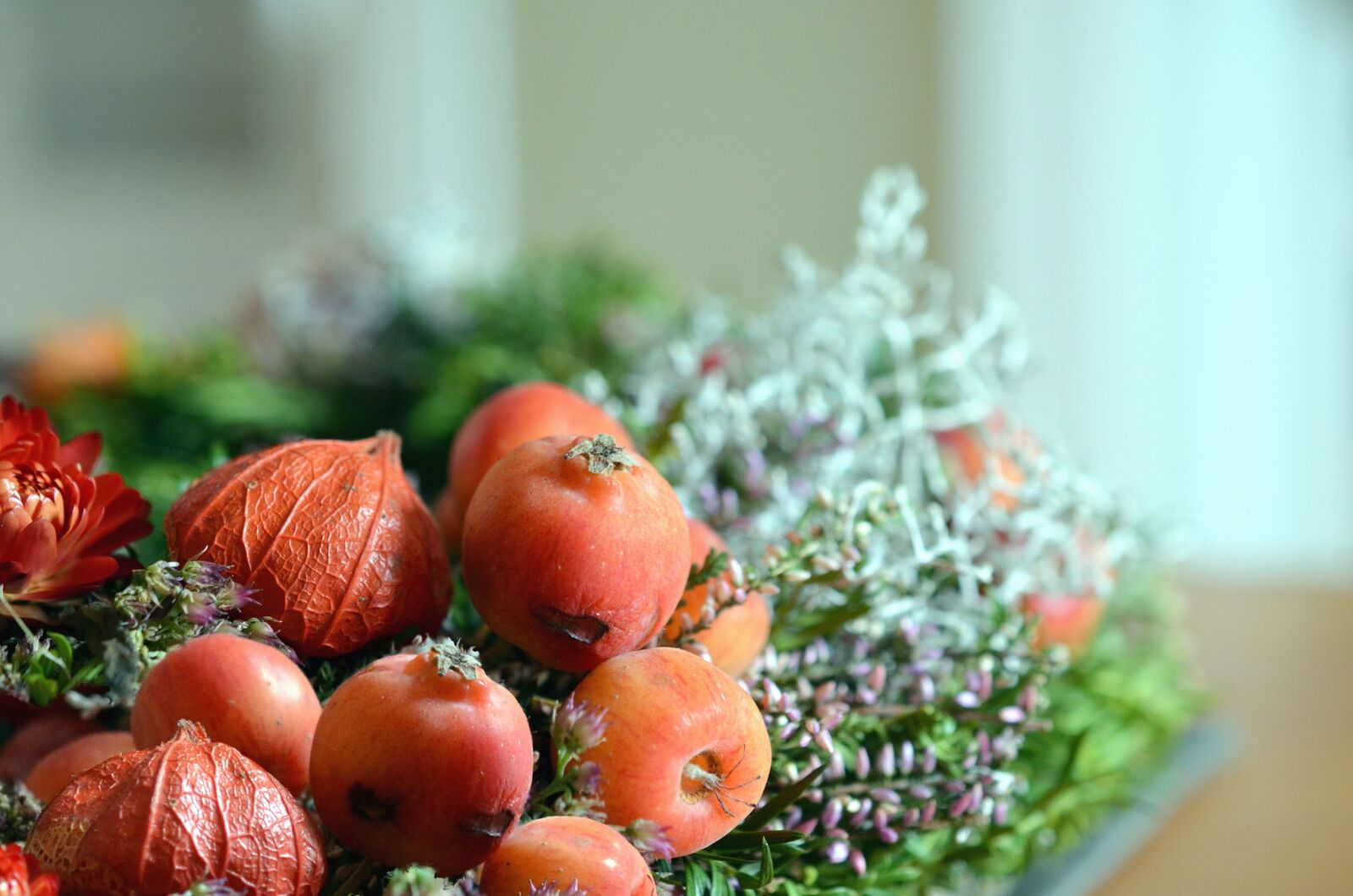 Nikon D5100 sample photo. Still life, decoration, plant photography