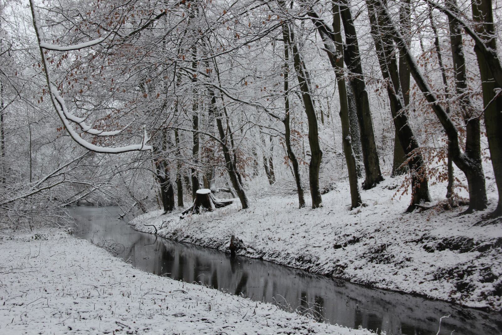 Canon EOS 550D (EOS Rebel T2i / EOS Kiss X4) sample photo. Winter, snow, wintry photography