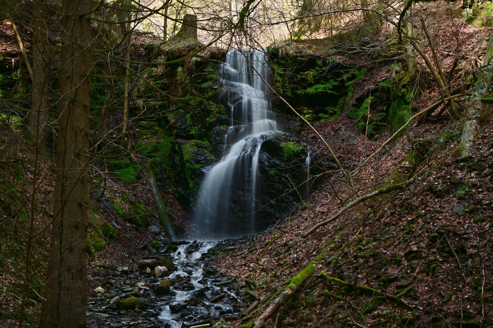 Nikon Nikkor Z 24-70mm F2.8 S sample photo. Waterfall, thuringia germany, forest photography