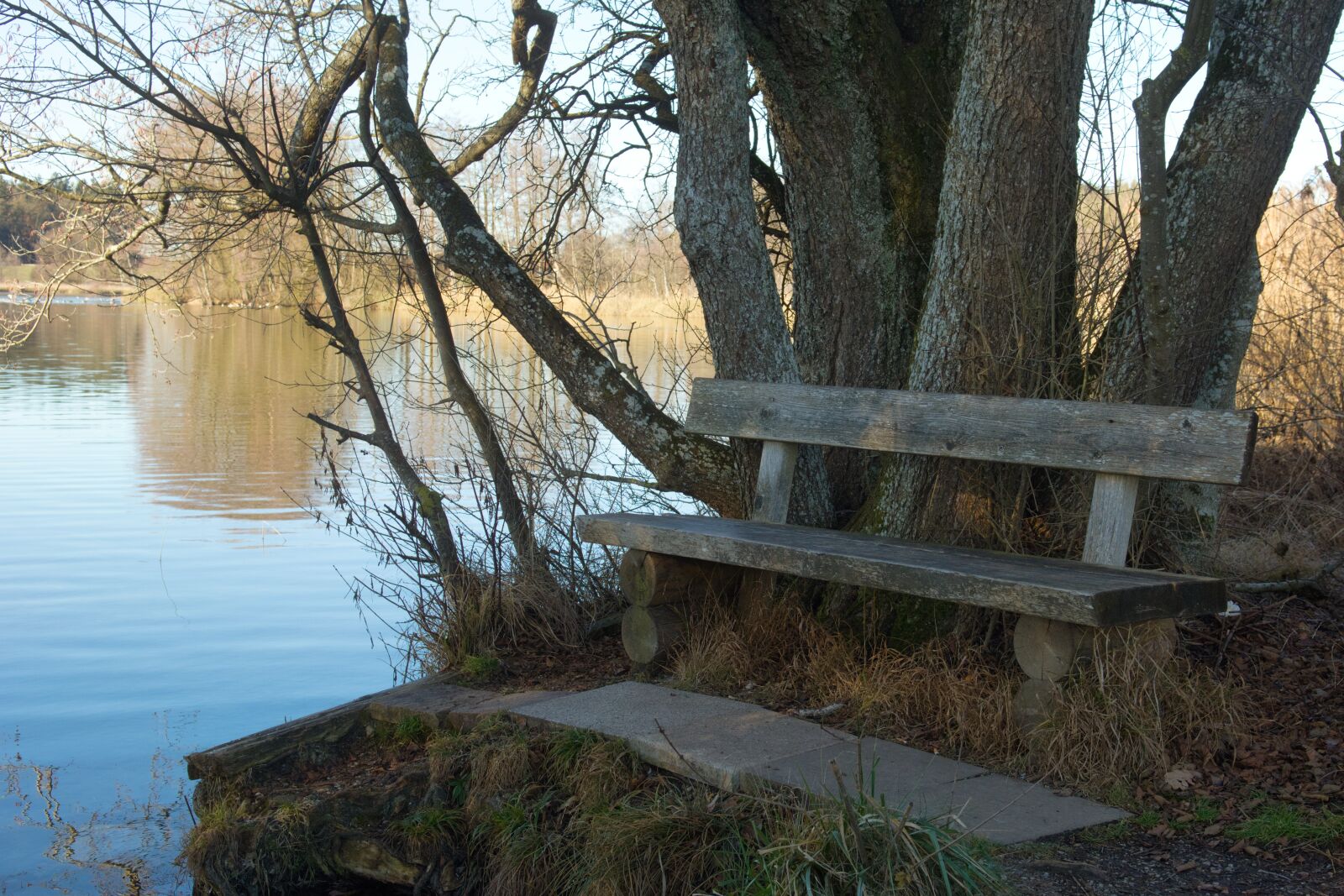 Nikon D7100 sample photo. Bench, seat, bank photography