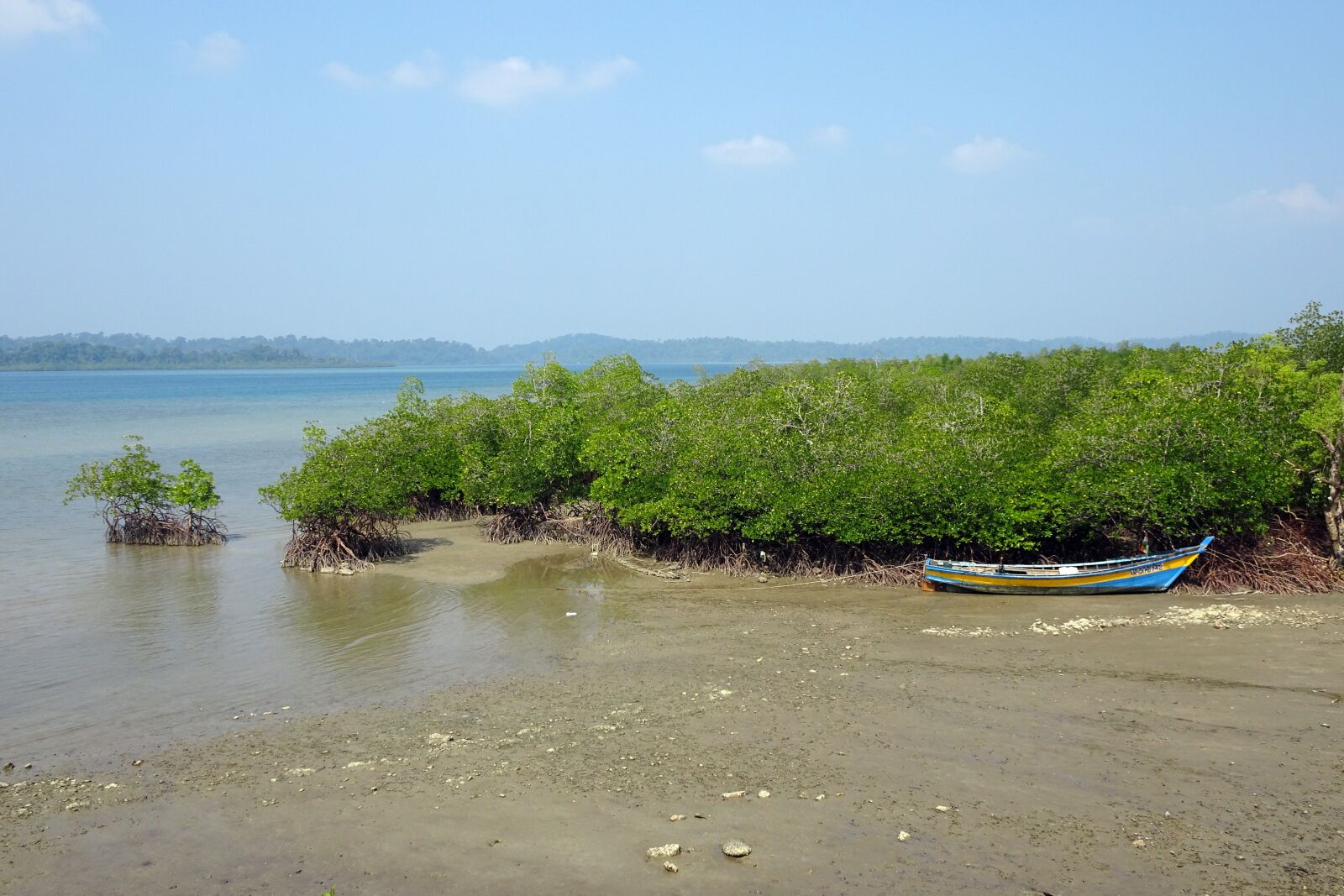 Sony Cyber-shot DSC-HX90V sample photo. Sea, coast, mangroves photography