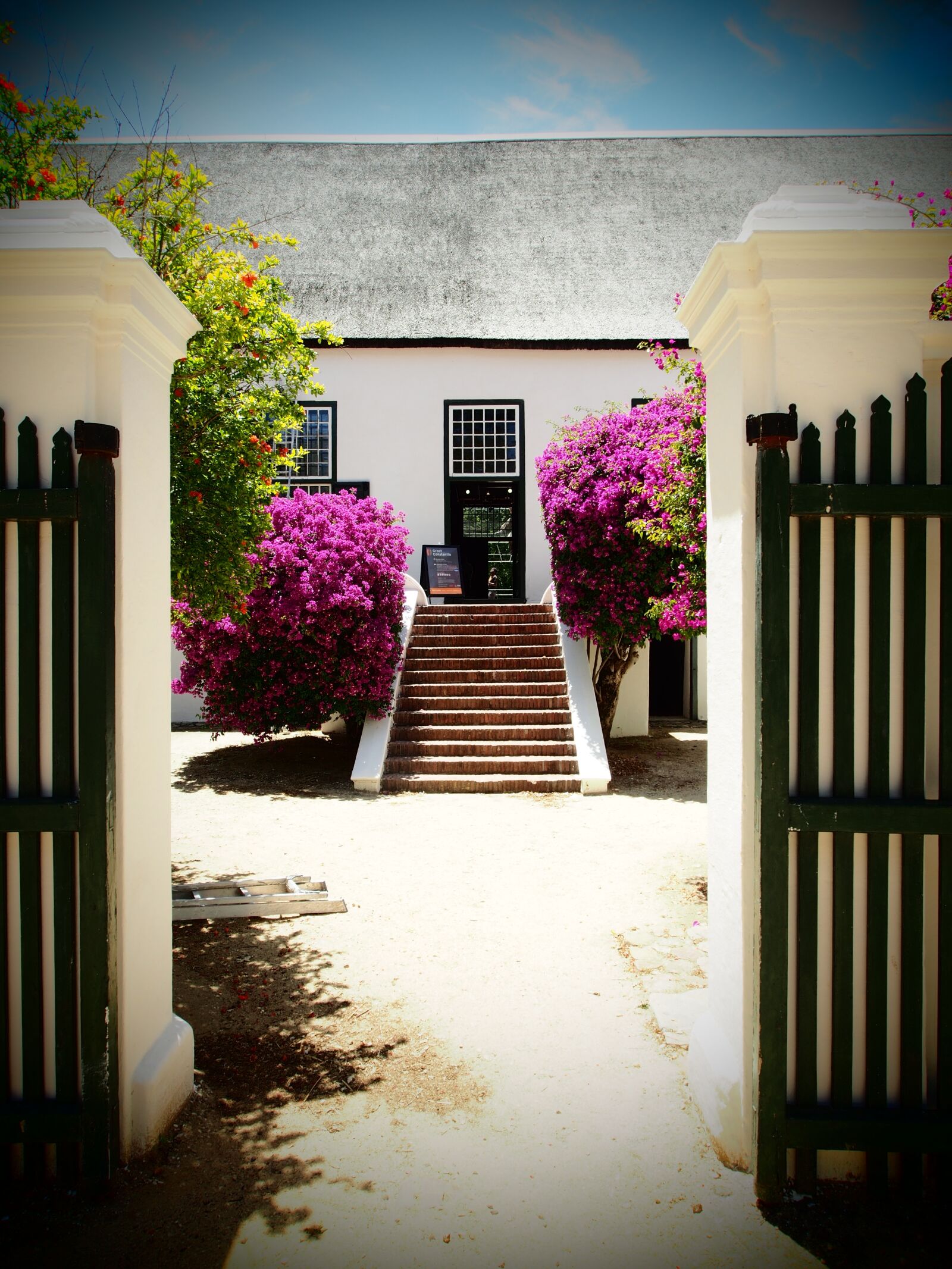 Olympus OM-D E-M5 sample photo. South africa, winery, stairs photography