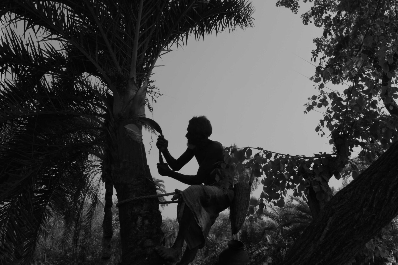 Canon EF-S 18-55mm F3.5-5.6 IS sample photo. Bangladesh, canal, fisherman, flower photography