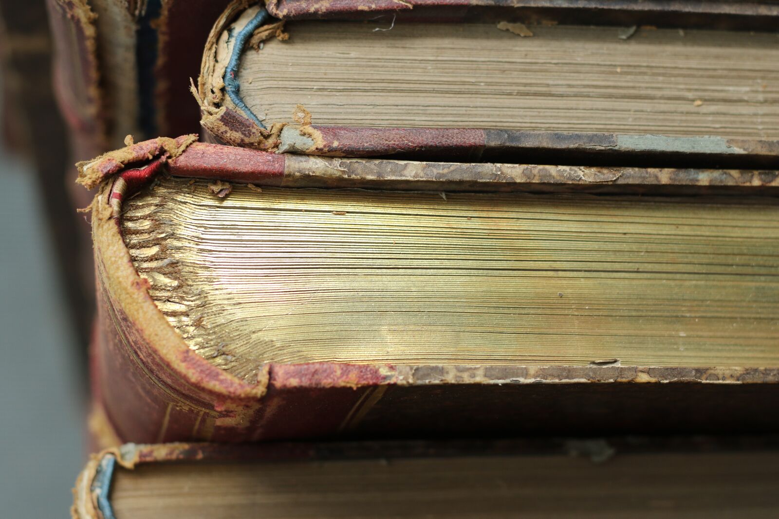 Canon EOS 7D Mark II sample photo. Books, old, large books photography