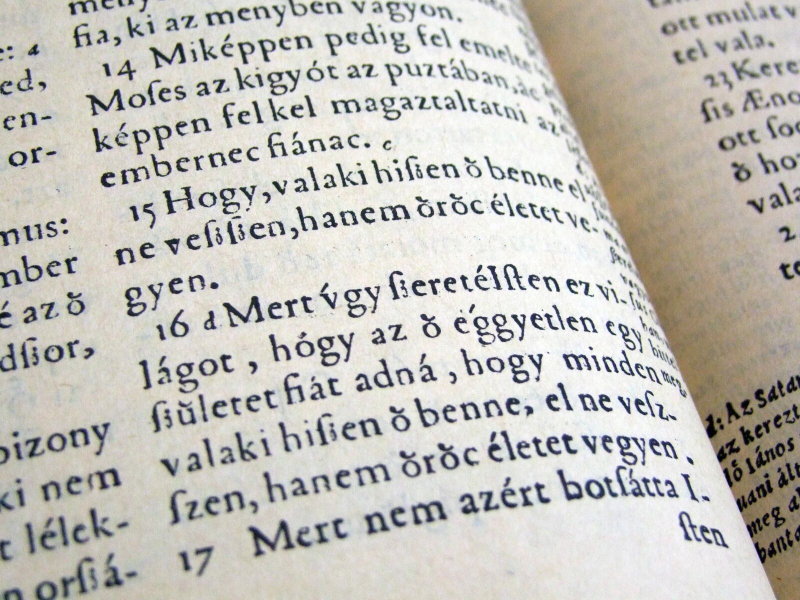 Fujifilm FinePix S100fs sample photo. Bible, st, book photography