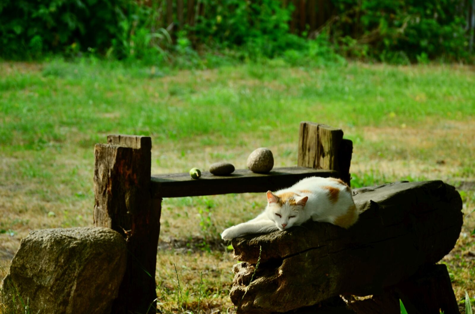 Nikon D5100 sample photo. Suchowola, podlaskie, poland photography
