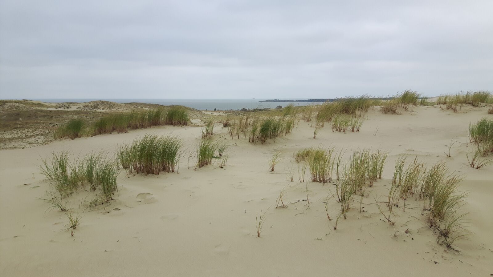 Samsung Galaxy S5 Neo sample photo. Baltic sea, dunes, sea photography