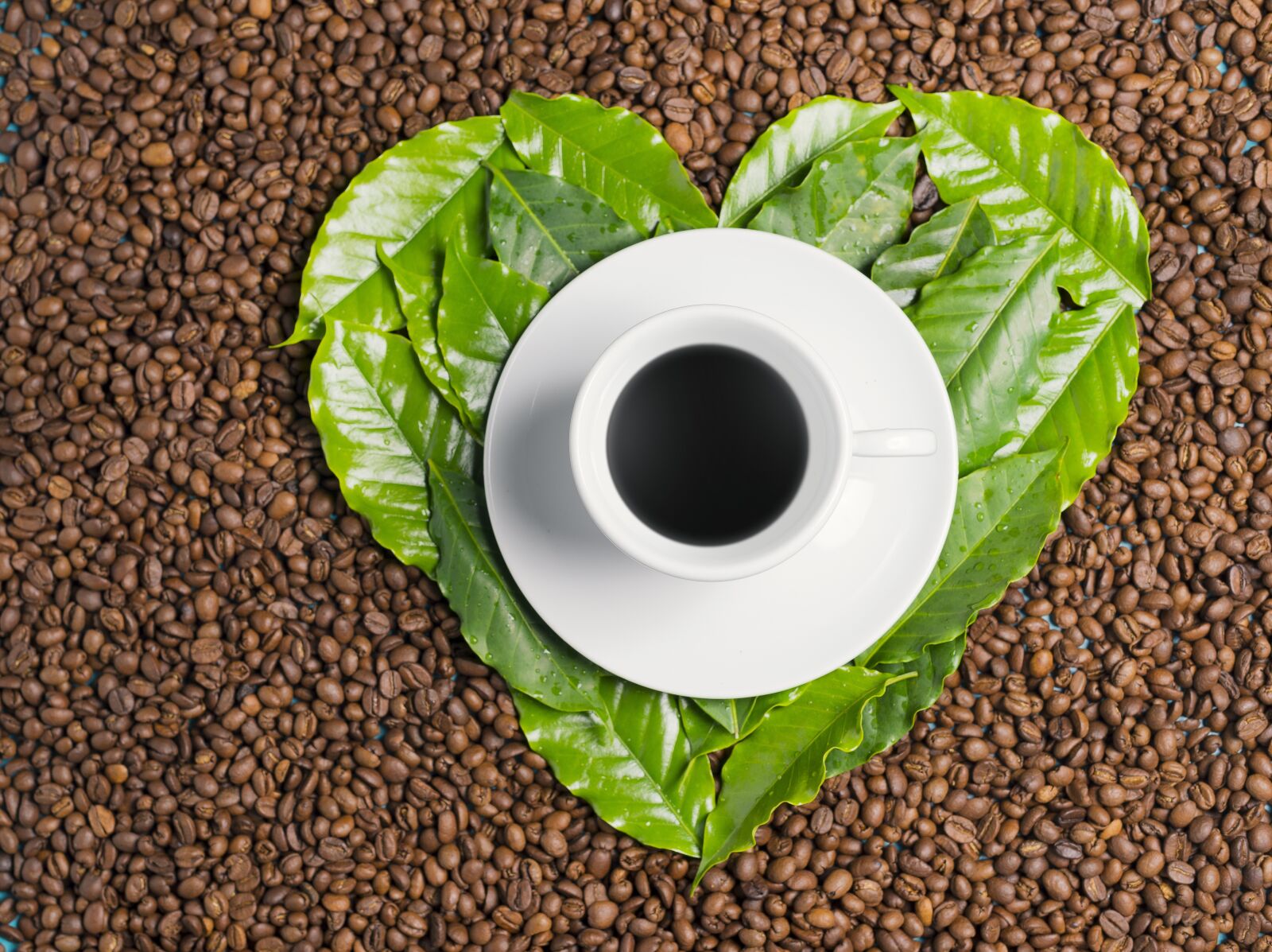 Nikon D610 sample photo. Coffee, heart, coffee bean photography