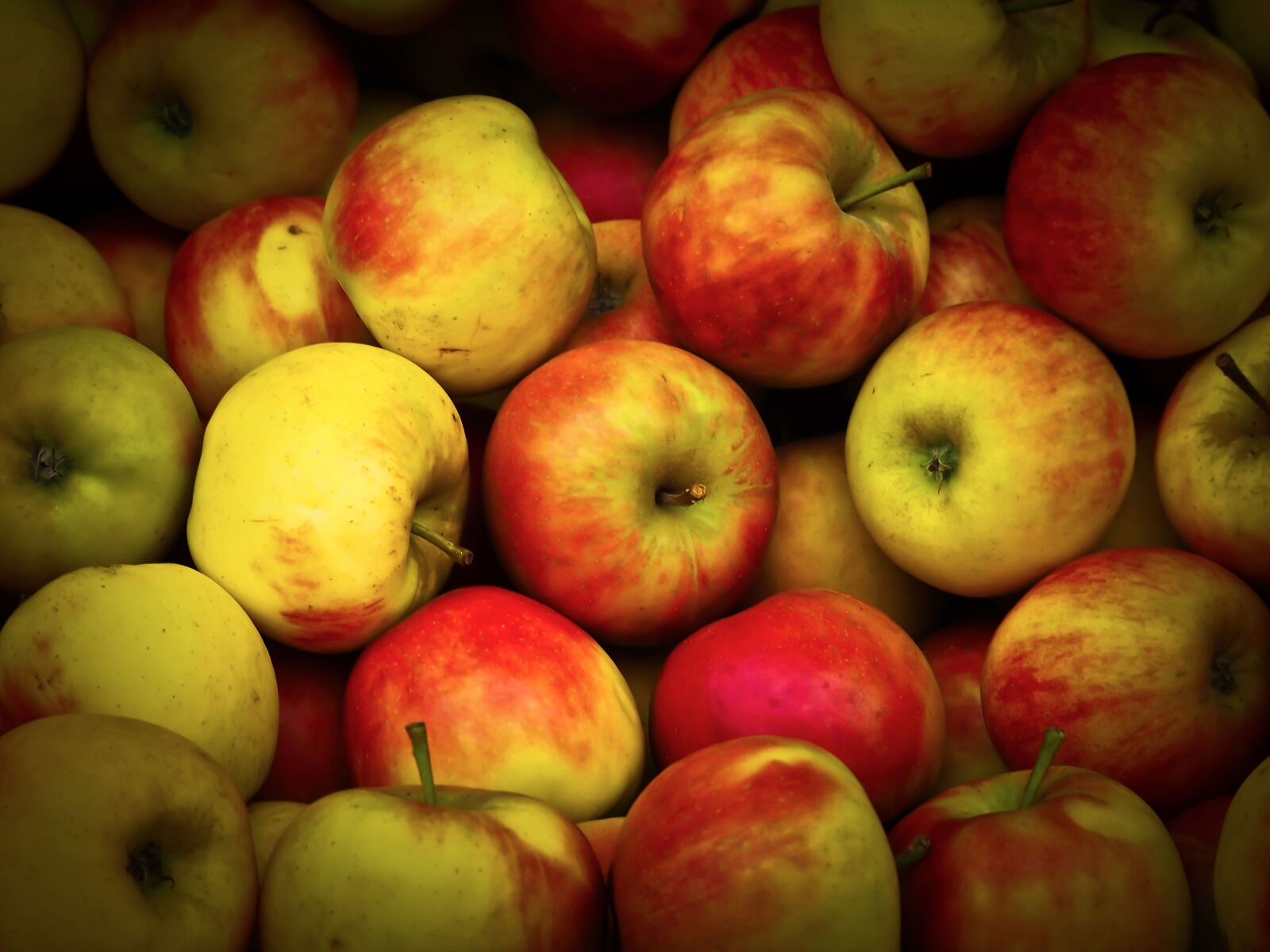 Olympus OM-D E-M10 sample photo. Apple, fruit, vitamins photography