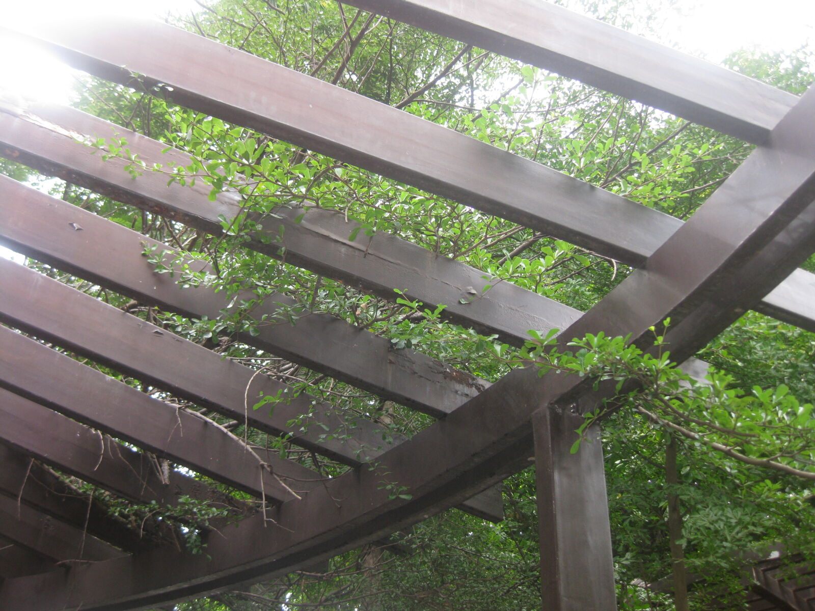 Canon PowerShot SD1100 IS (Digital IXUS 80 IS / IXY Digital 20 IS) sample photo