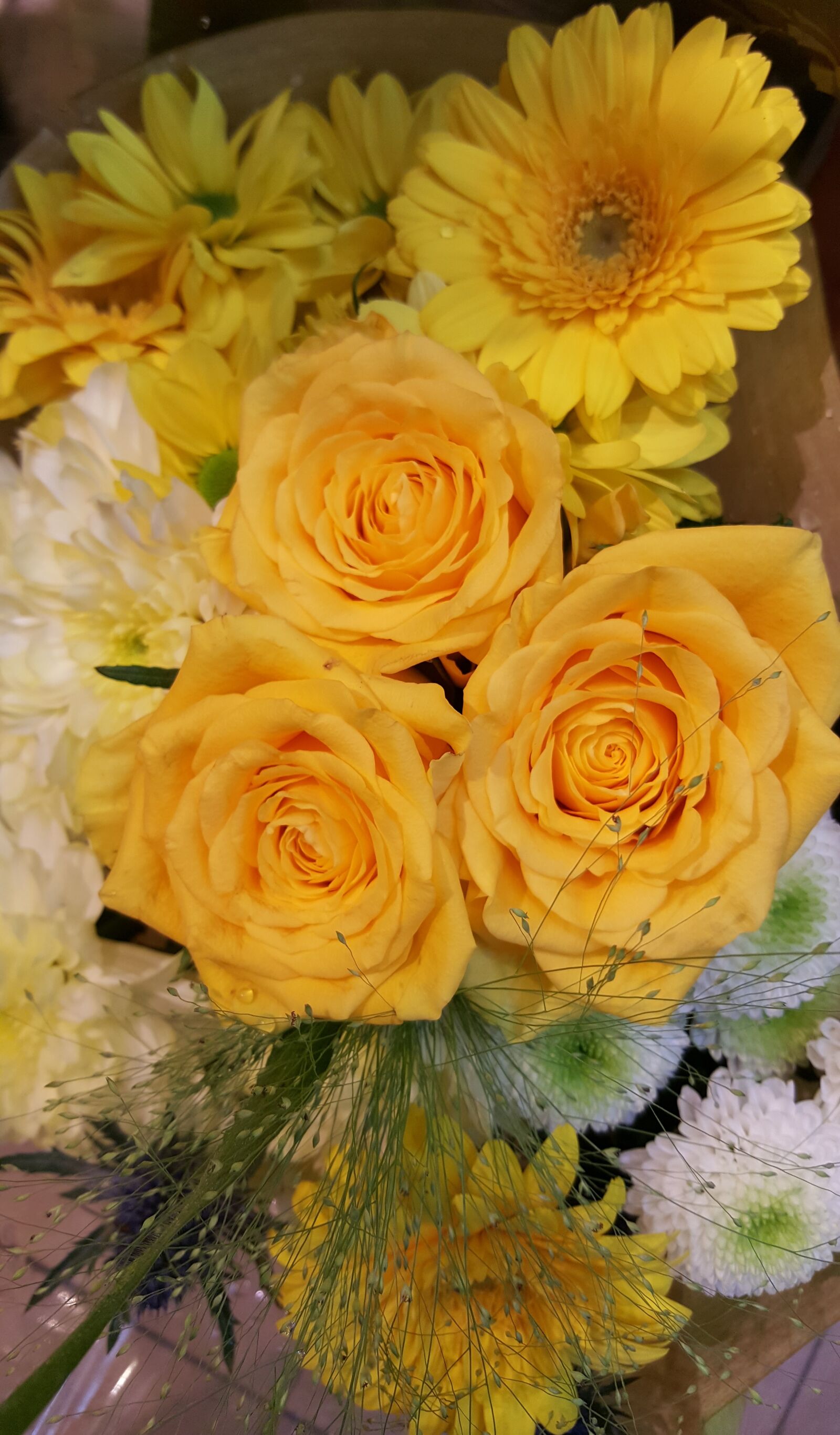 Samsung Galaxy S6 sample photo. Yellow, rose, bright photography