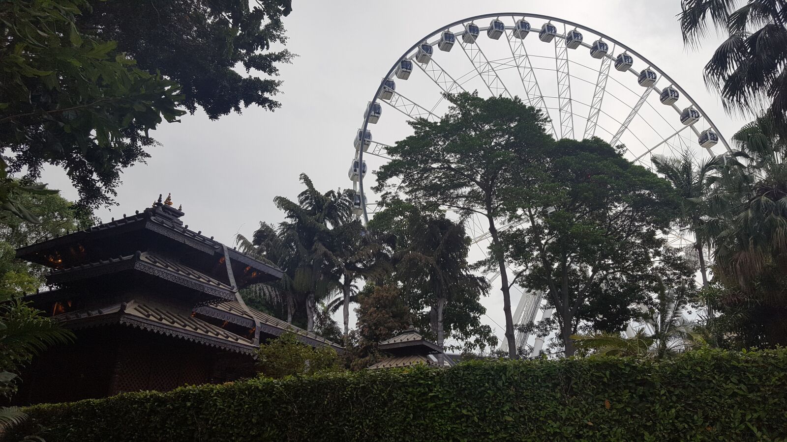 Samsung GALAXY S6 edge sample photo. The wheel of brisbane photography