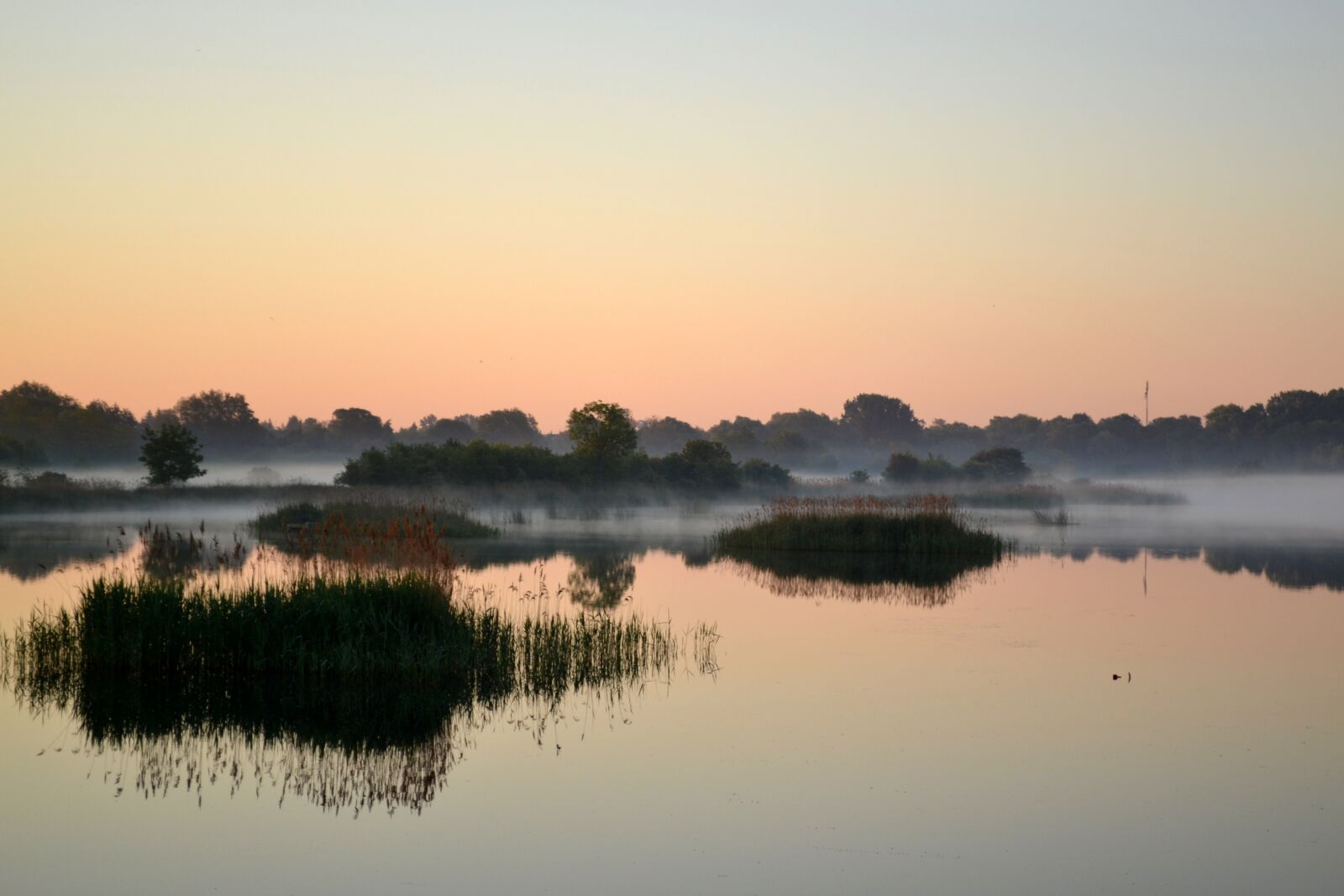 Nikon D3100 sample photo. Morning, water, nature photography