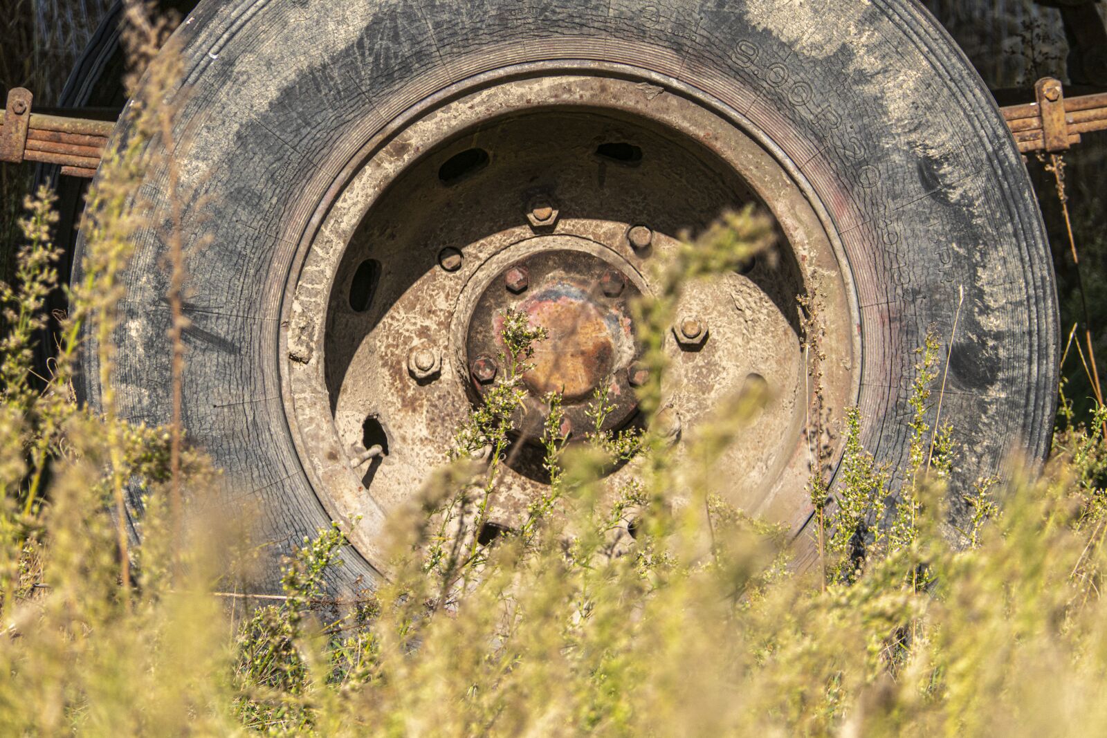 Panasonic Lumix DMC-FZ2500 (Lumix DMC-FZ2000) sample photo. Wheel, tire, old photography