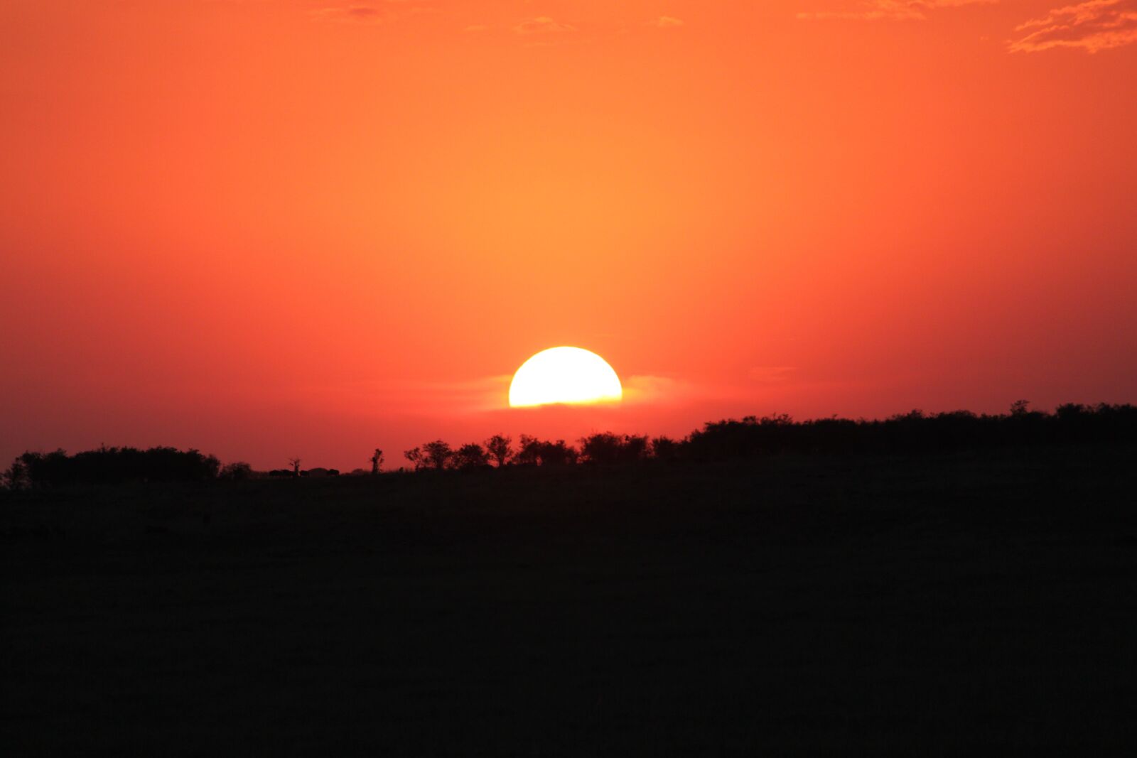 Canon EOS 500D (EOS Rebel T1i / EOS Kiss X3) sample photo. Sunset, africa, serengeti photography