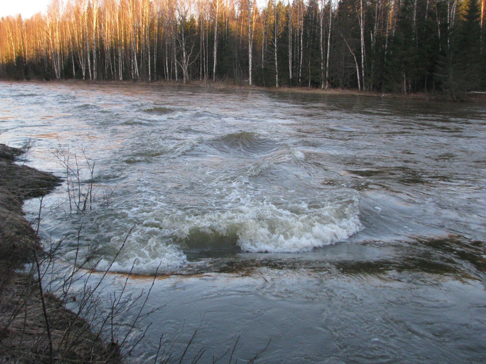 Canon POWERSHOT S5 IS sample photo. The river koiva, perm photography