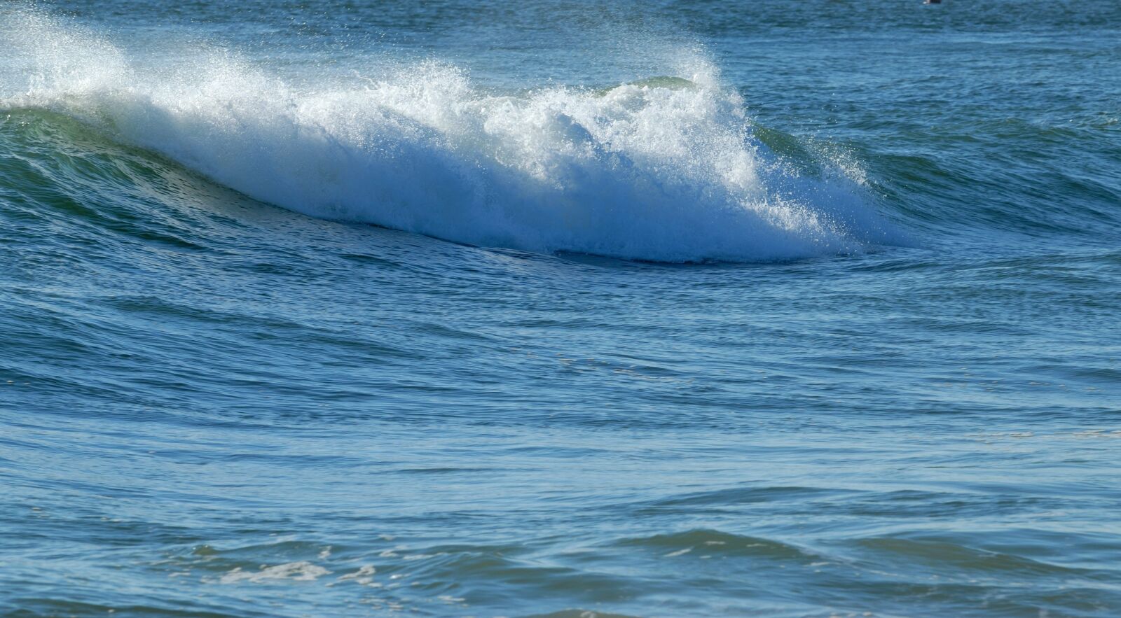 Nikon D200 sample photo. Wave, white caps, ocean photography