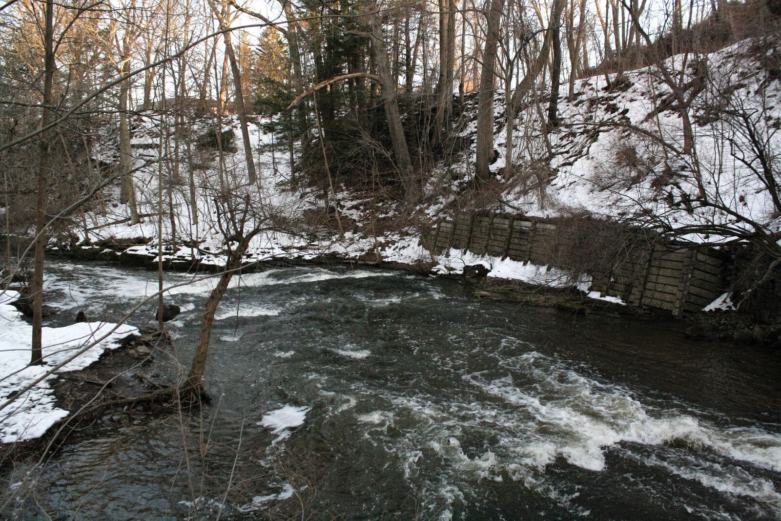 Canon EOS 1000D (EOS Digital Rebel XS / EOS Kiss F) sample photo. Winter, trees, snow photography