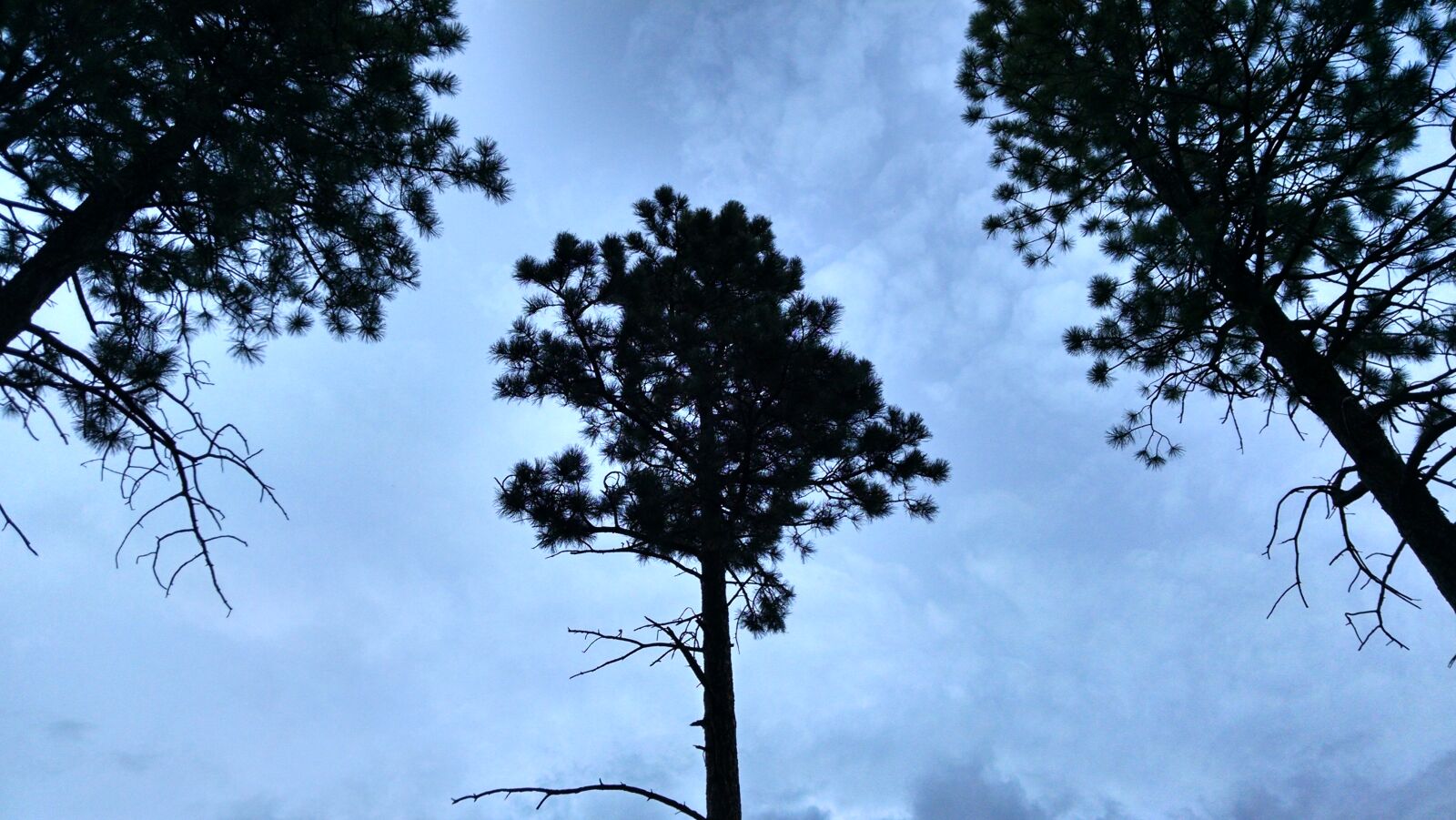 Motorola XT1080 sample photo
