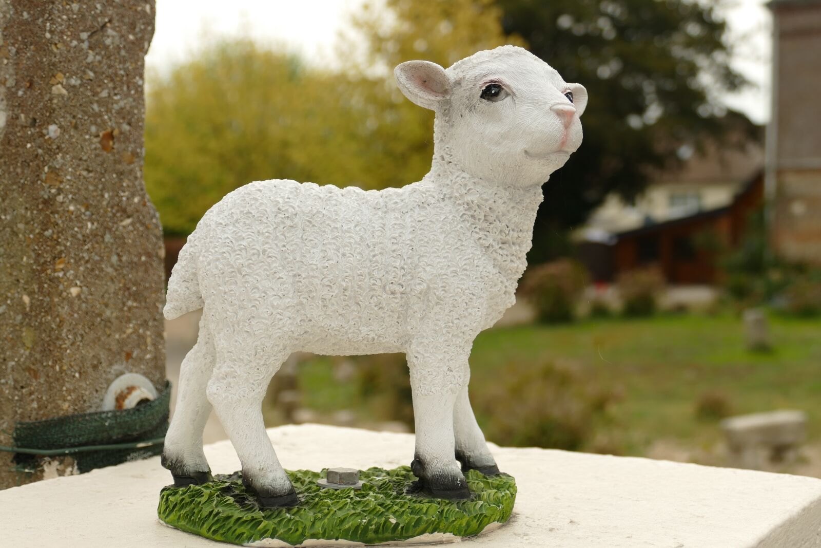 Panasonic Lumix DMC-FZ1000 sample photo. Lamb, sheep, image photography