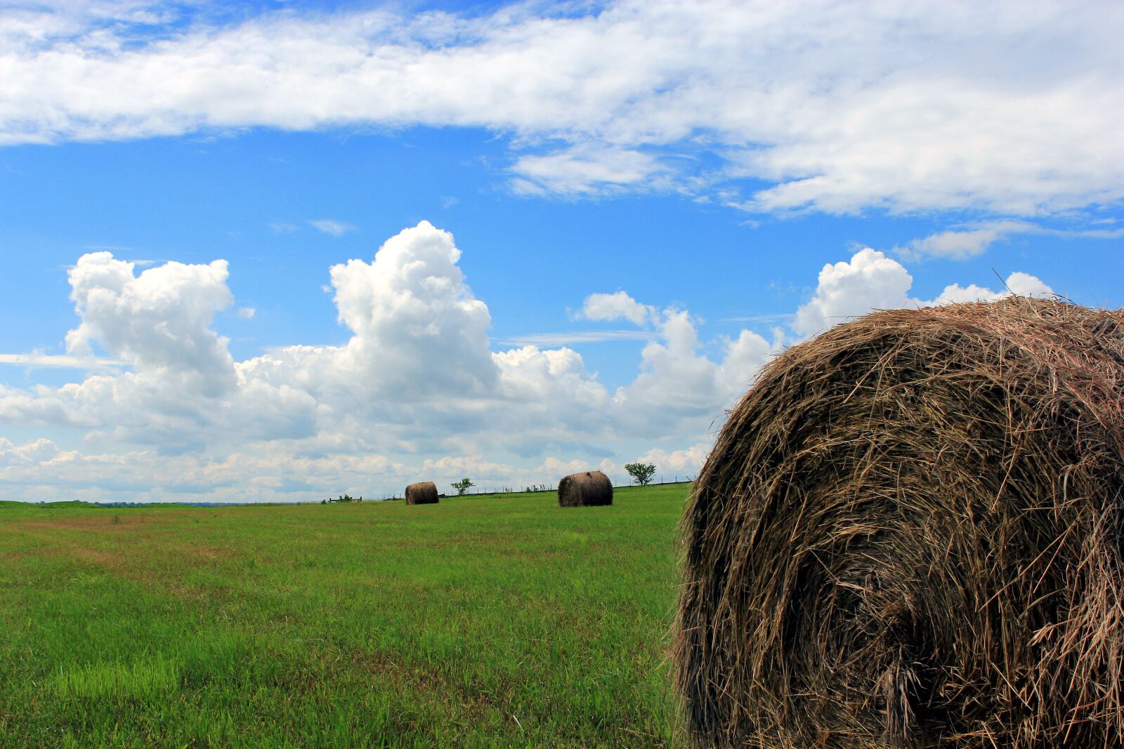 Canon EOS 60D + Canon EF 24-70mm F2.8L USM sample photo. Hay bale, hay, field photography