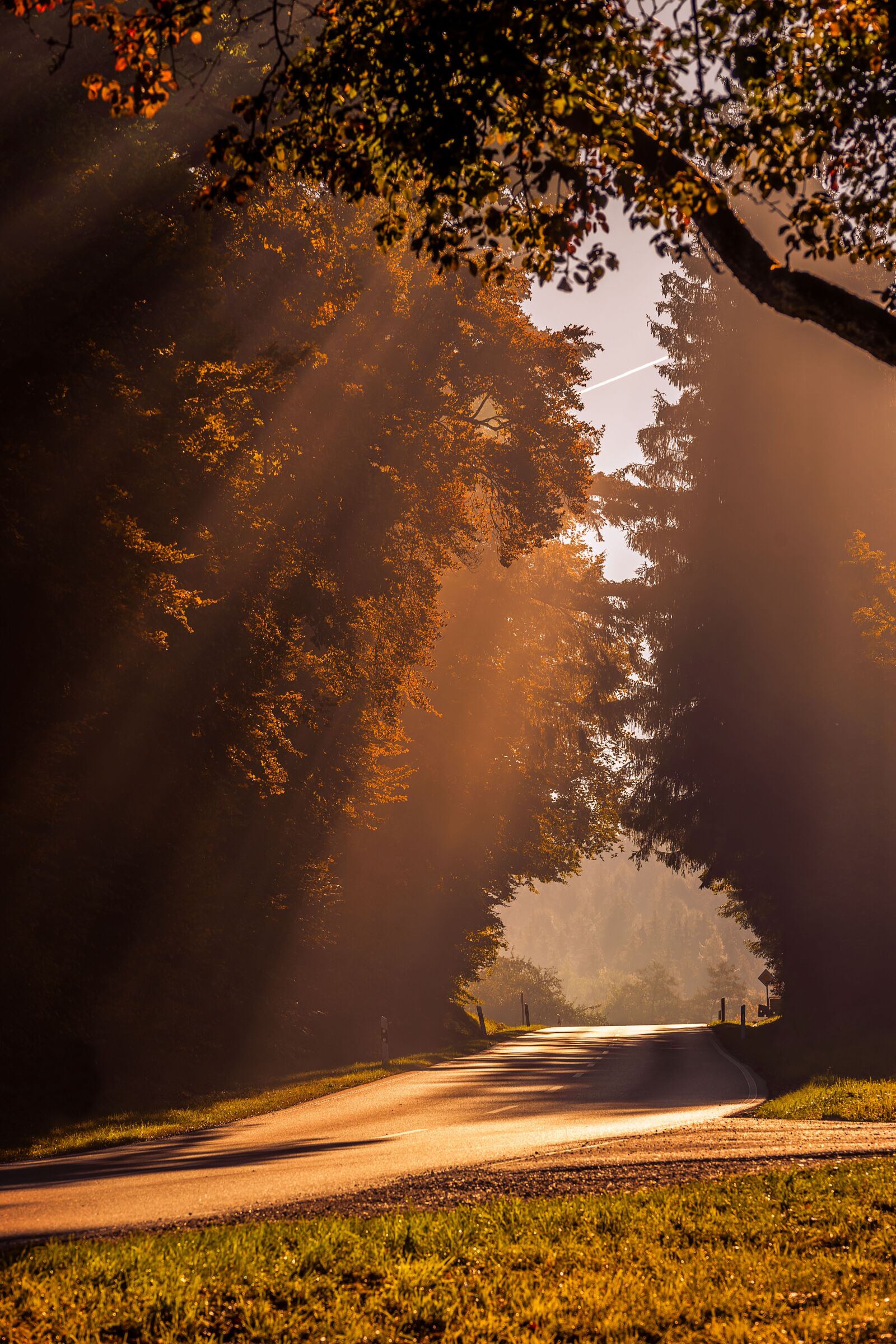 Sony a7 III + Sony FE 70-200mm F4 G OSS sample photo. Autumn, sunbeam, road photography