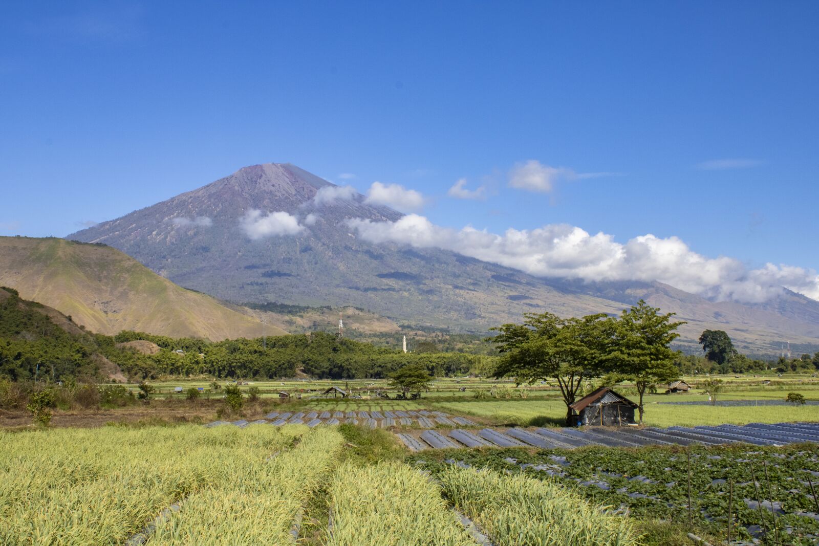 Canon EOS 2000D (EOS Rebel T7 / EOS Kiss X90 / EOS 1500D) + Canon EF-S 18-55mm F3.5-5.6 III sample photo. Rinjani, mount, lombok photography