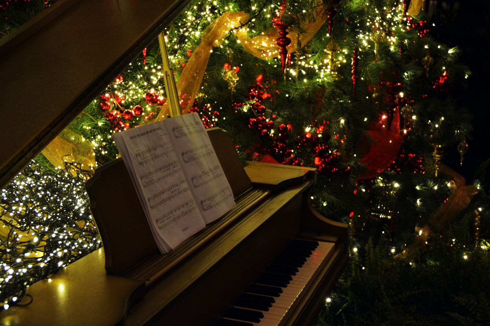 Nikon D7100 sample photo. Piano, music, holdays photography