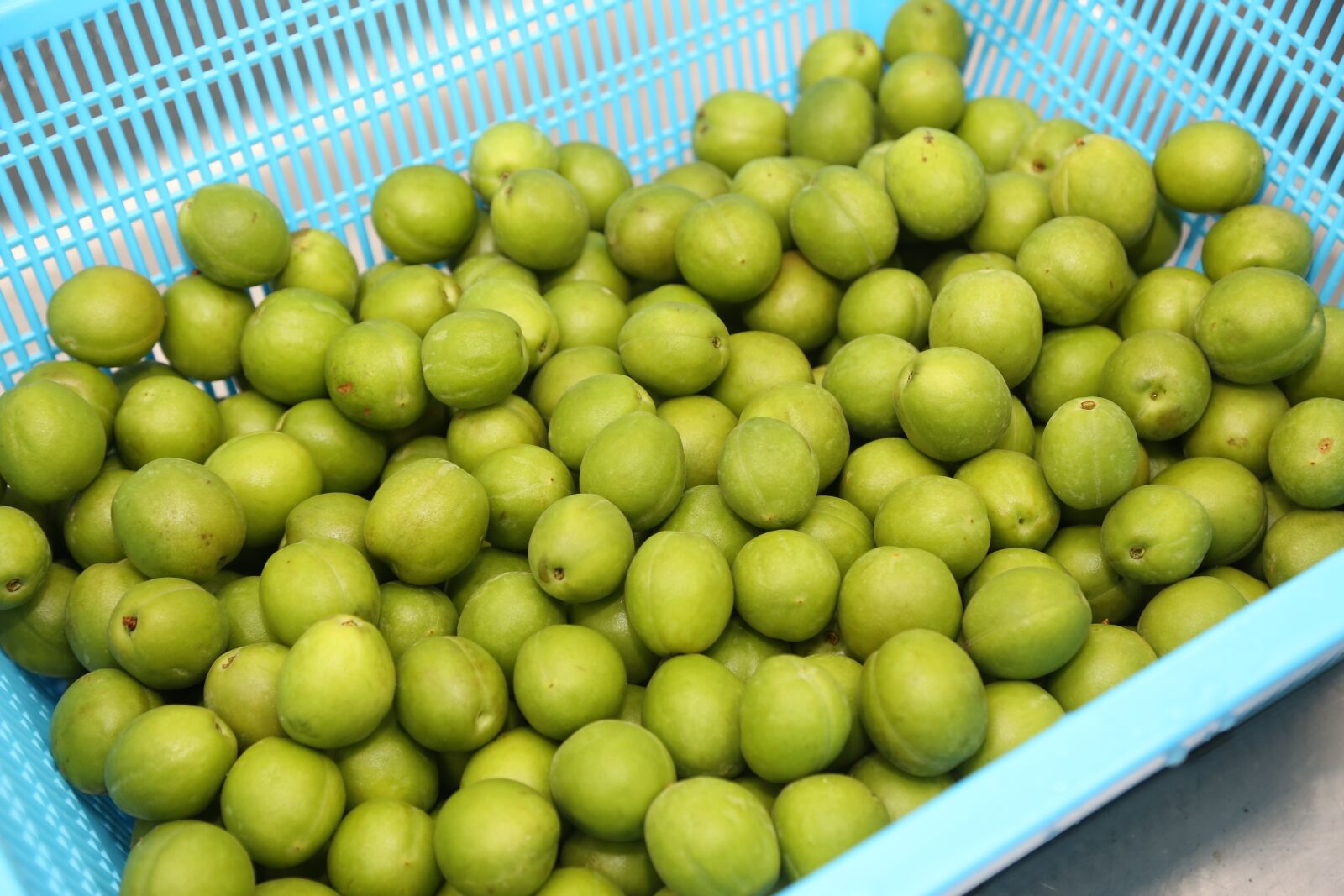 Canon EF 24-105mm F4L IS USM sample photo. Plum, processing, agricultural products photography