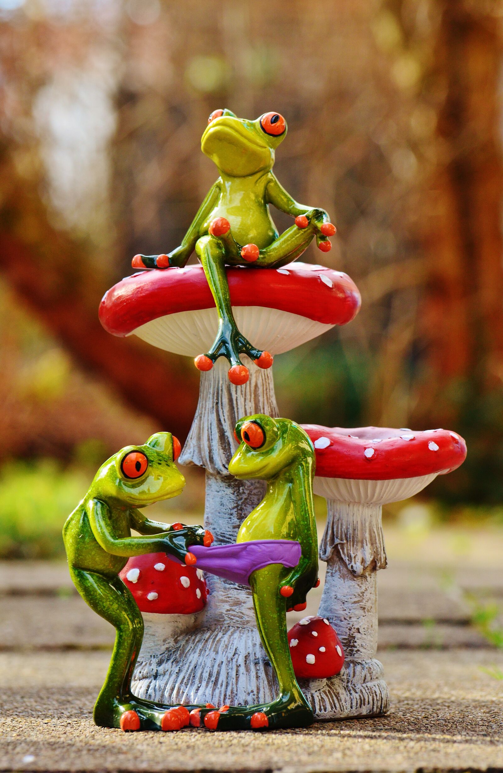 Nikon D3200 sample photo. Frogs, mushrooms, figures photography