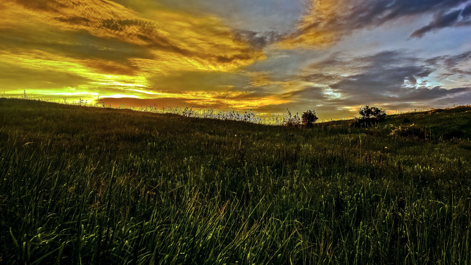 Sony Cyber-shot DSC-RX100 sample photo. Sunset, grass, silence photography