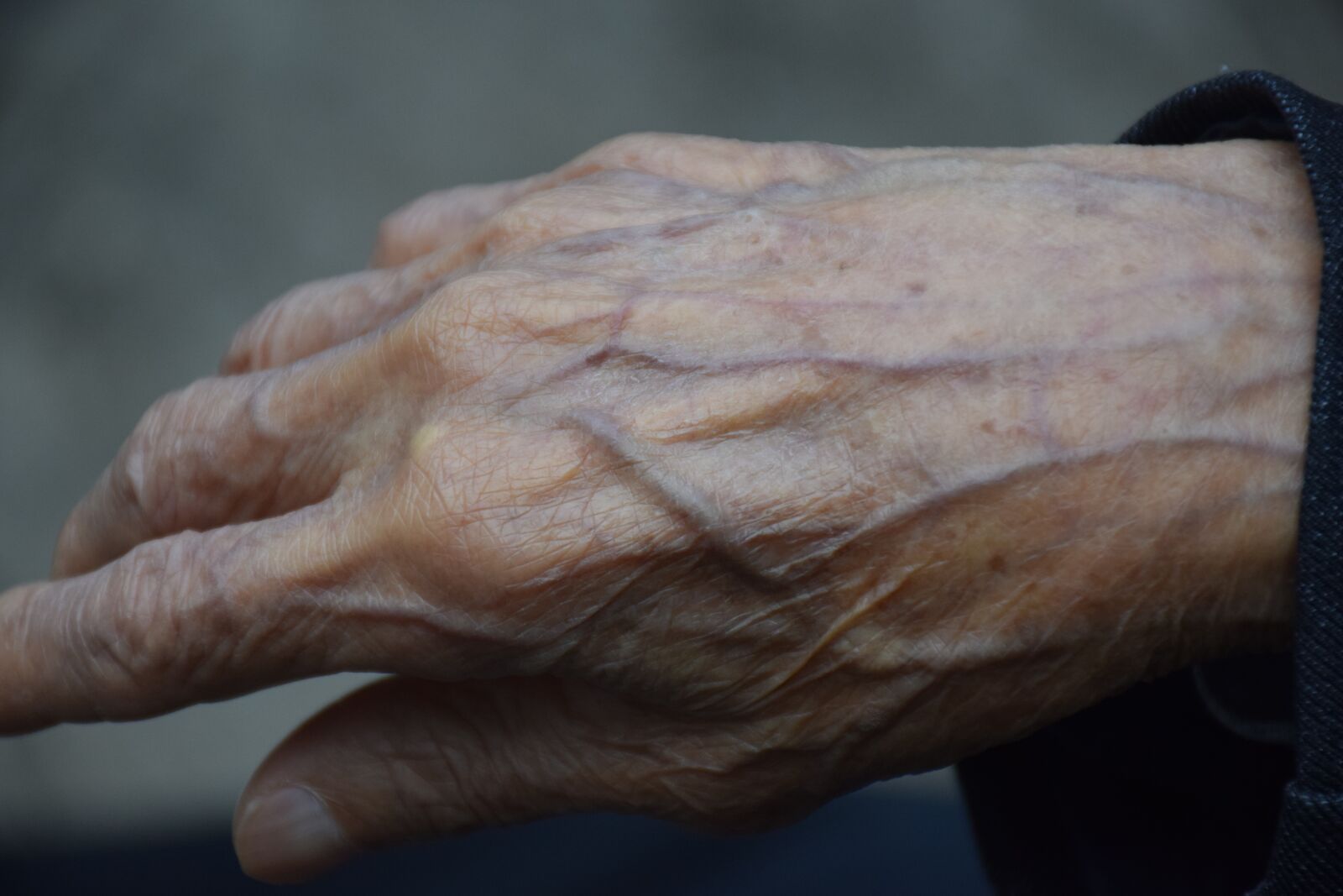 Nikon D5300 sample photo. The aged, hand, meridian photography
