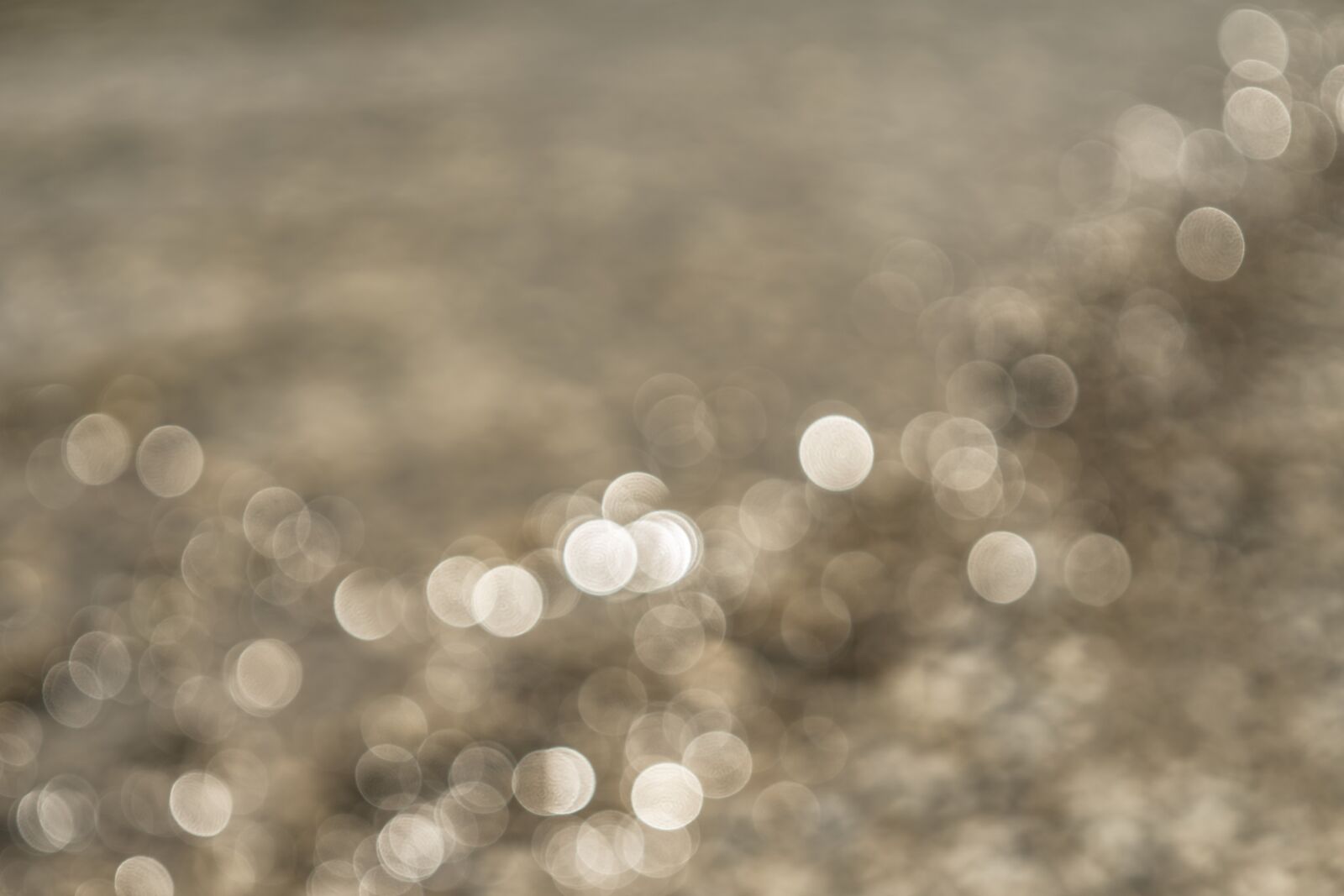 Sony a6300 + Sigma 30mm F2.8 EX DN sample photo. Background, blur, bokeh photography