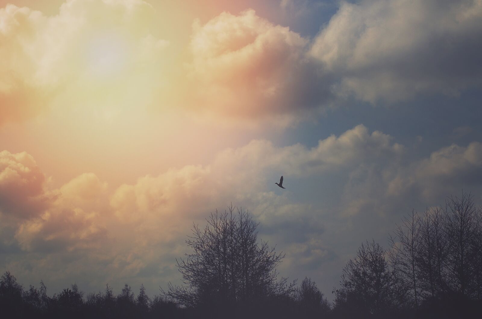 Pentax K-5 sample photo. Clouds, sky, landscape photography