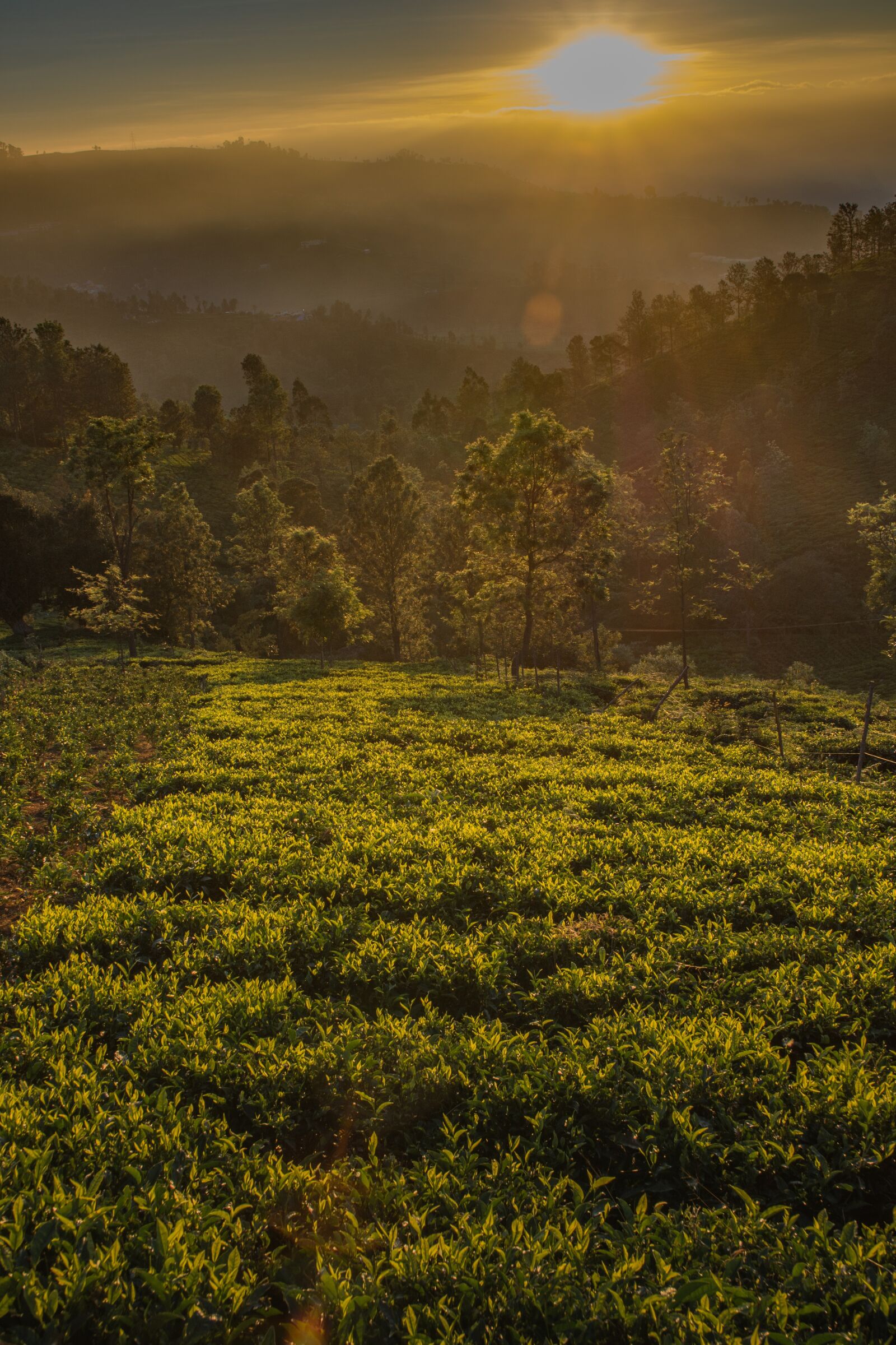 Nikon D5200 sample photo. Landscape, panoramic, nature photography