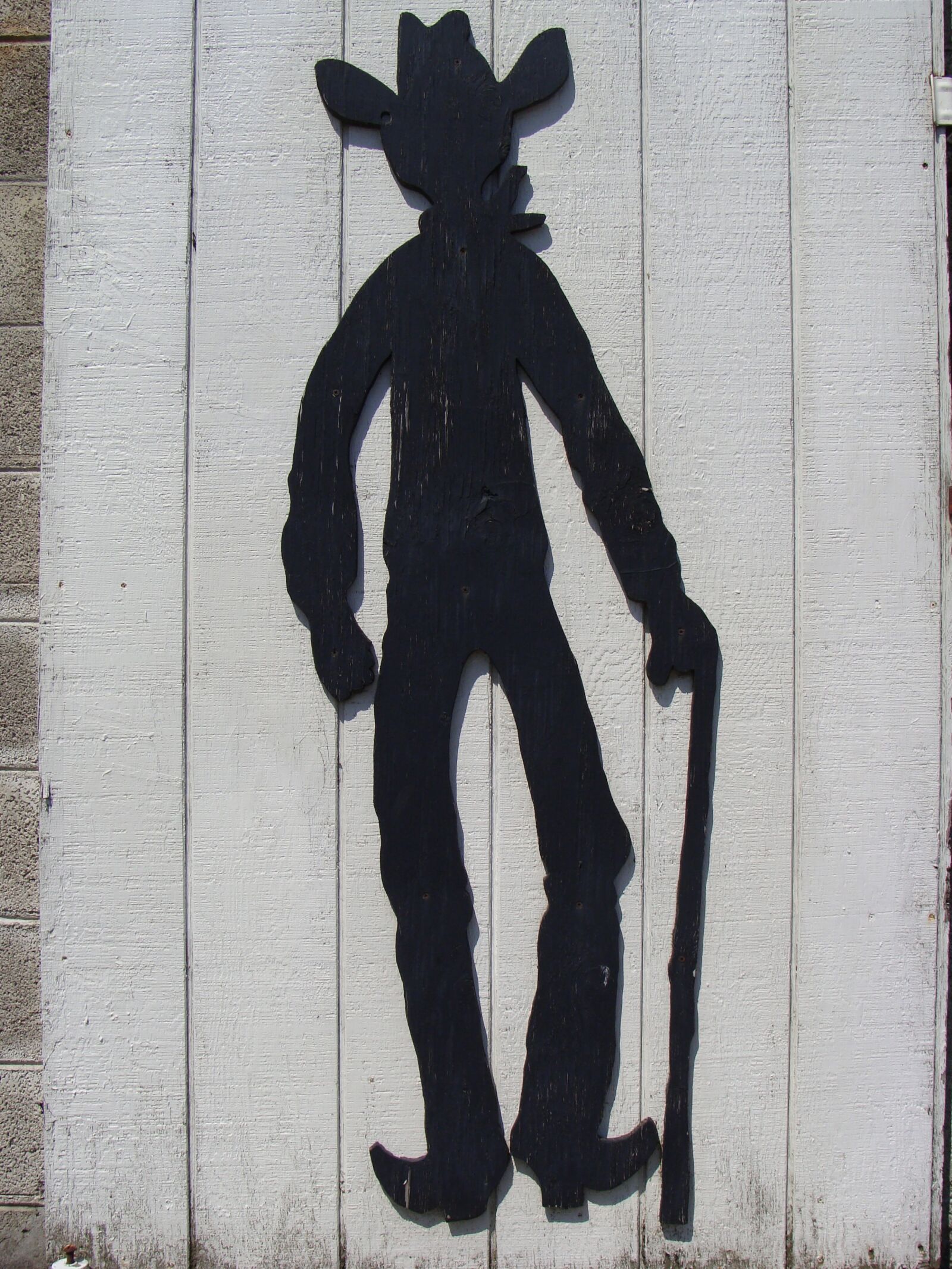 Sony DSC-H3 sample photo. Cowboy, country, cane photography