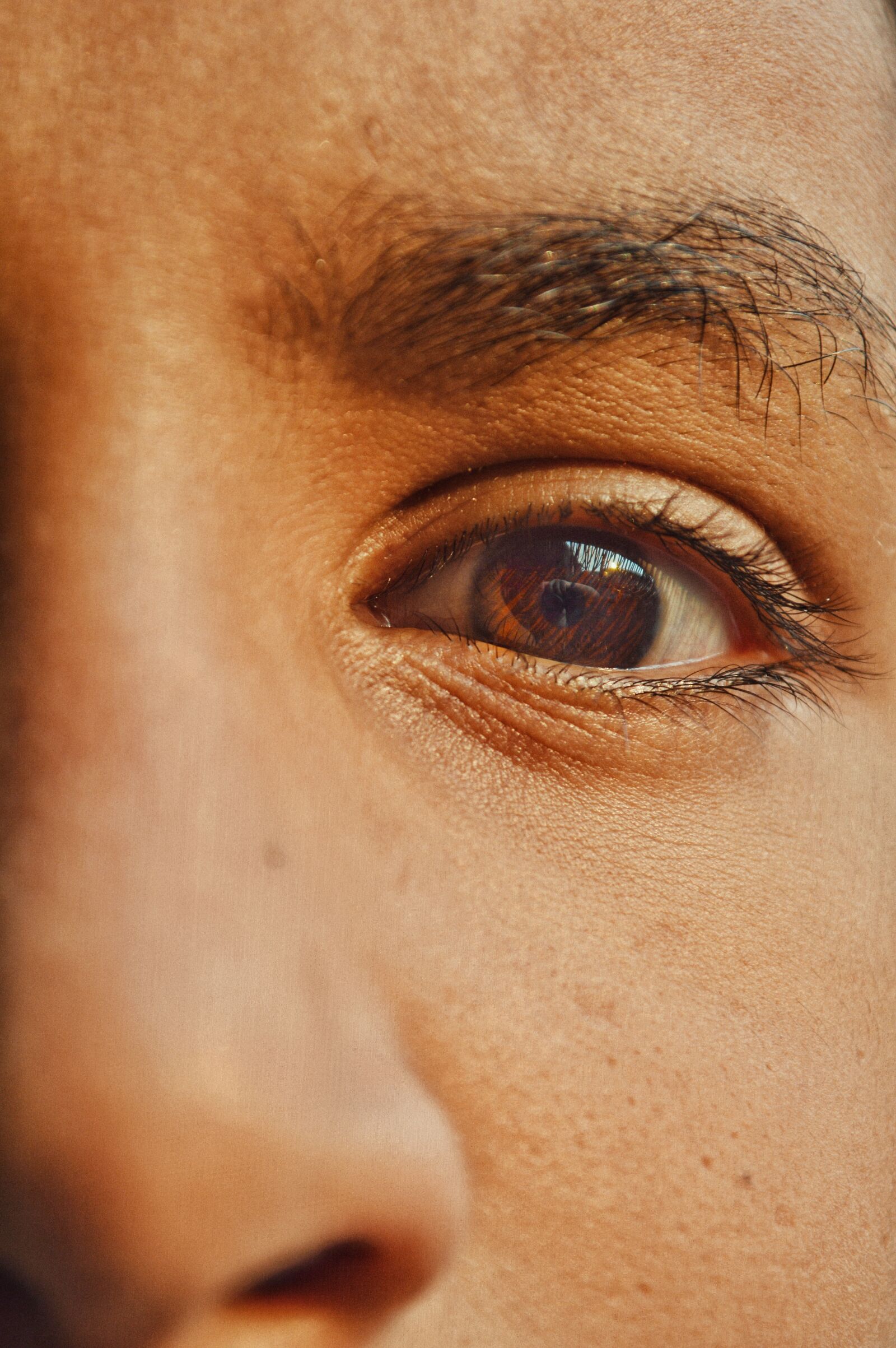 Nikon D3200 sample photo. Eyes, colors, focus photography