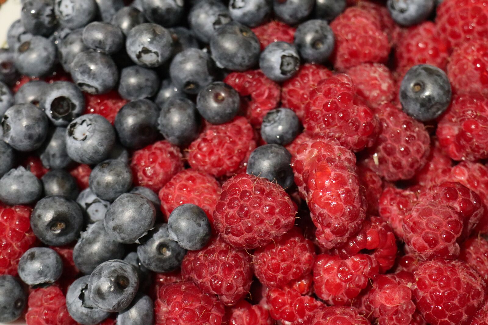 Canon EOS M6 sample photo. Summer, fruit, raspberries photography
