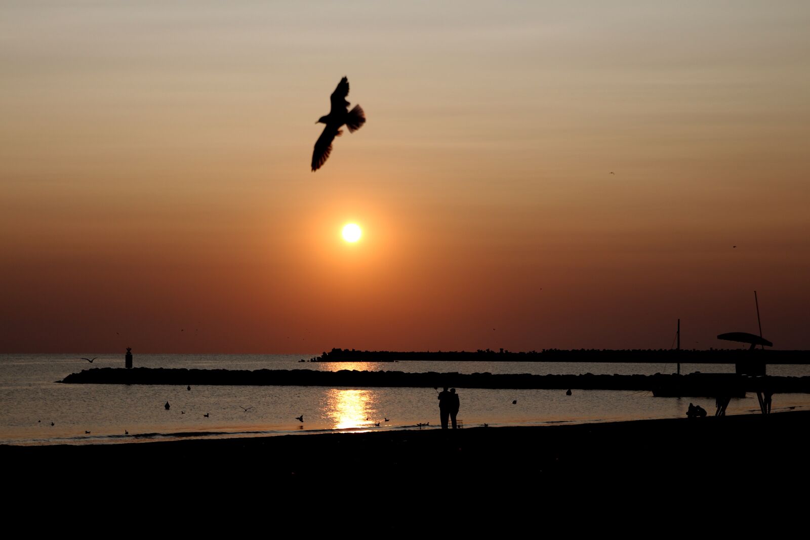 Canon EOS 700D (EOS Rebel T5i / EOS Kiss X7i) sample photo. Sunrise, great, water photography