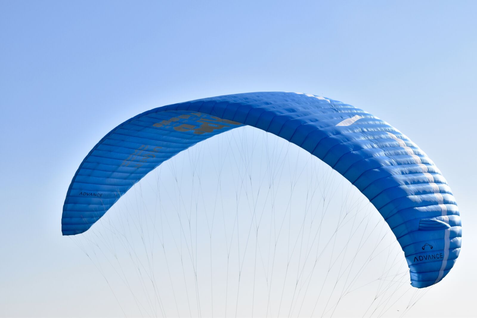 Nikon D5600 sample photo. Paragliding, sailing paragliding, wing photography