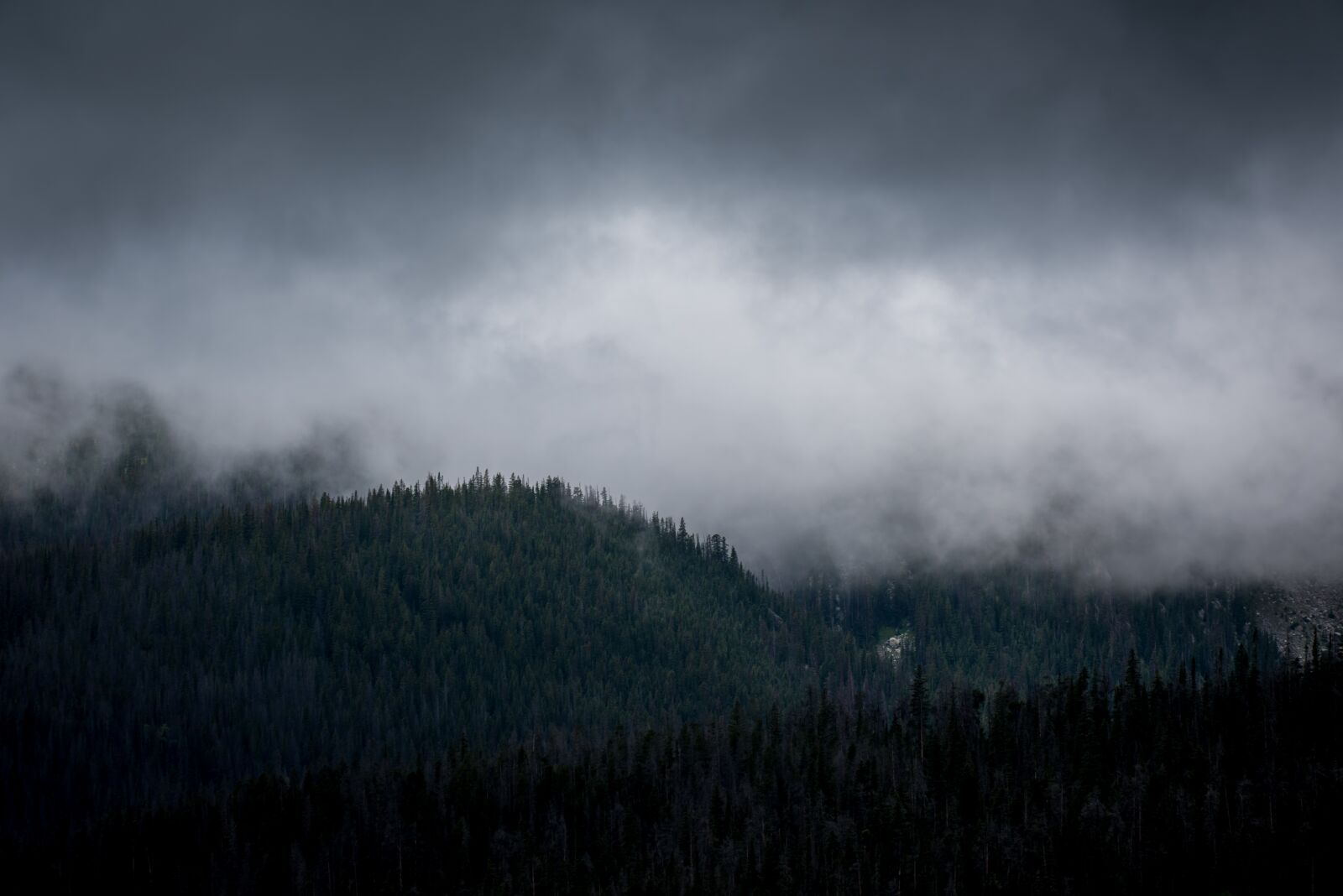 Nikon D750 sample photo. Fog, landscape, mist photography
