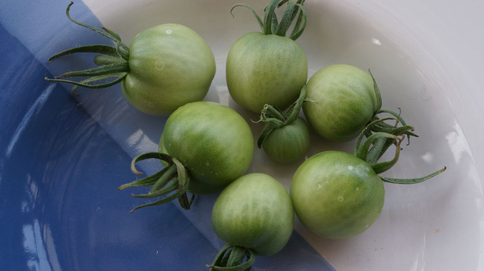 Sony Alpha a3000 sample photo. Tomatoes, green, immature photography