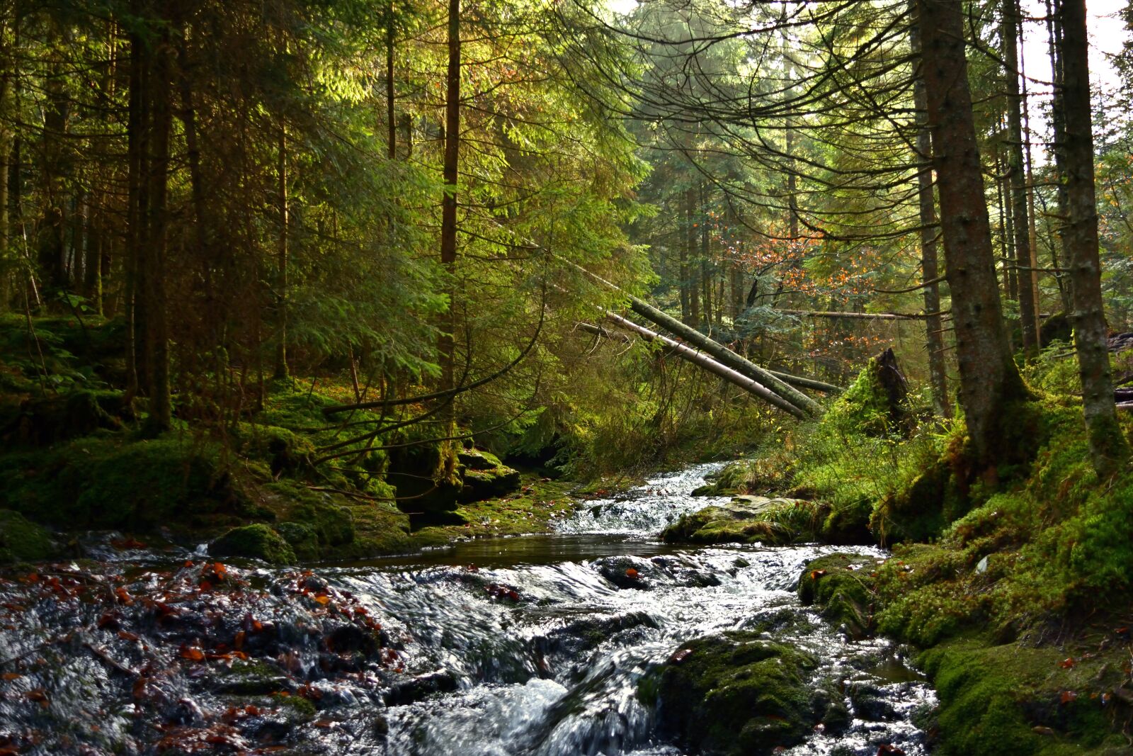 Nikon D5200 sample photo. Nature, wilderness, river photography