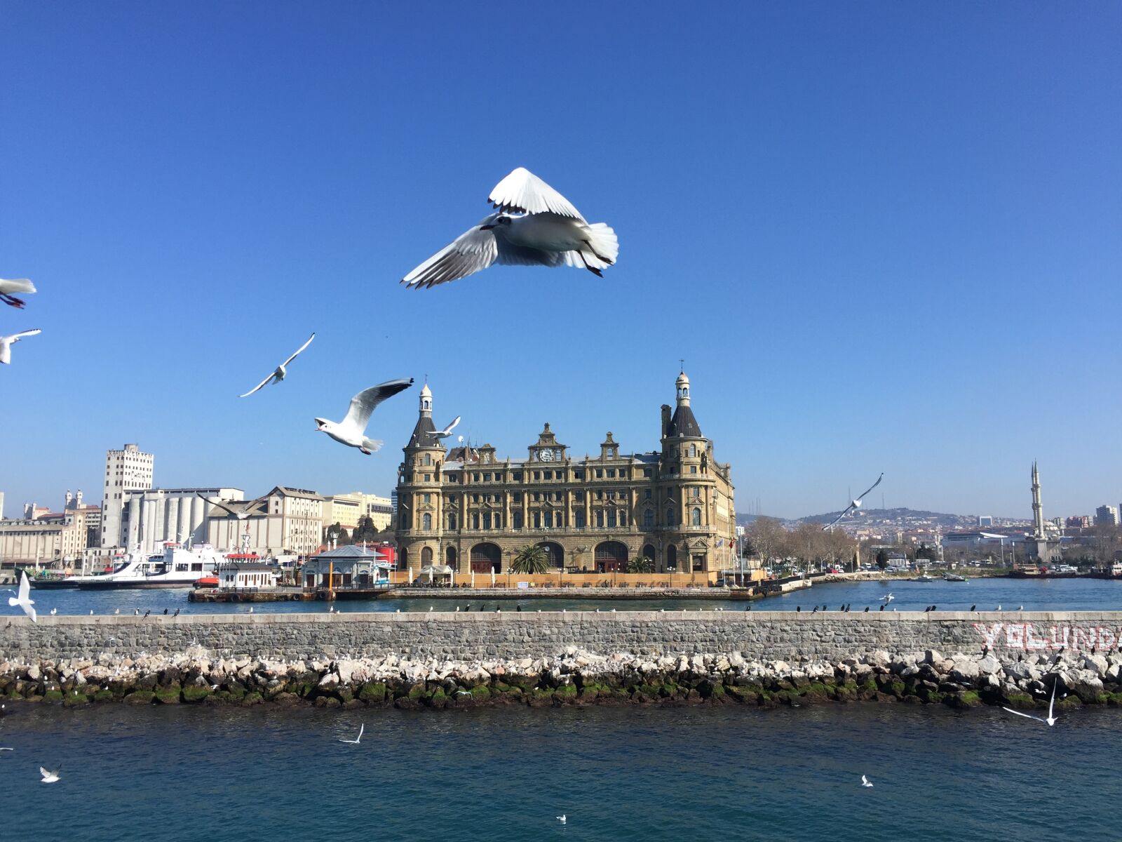 Apple iPhone 6 sample photo. Istanbul, station, seagull photography