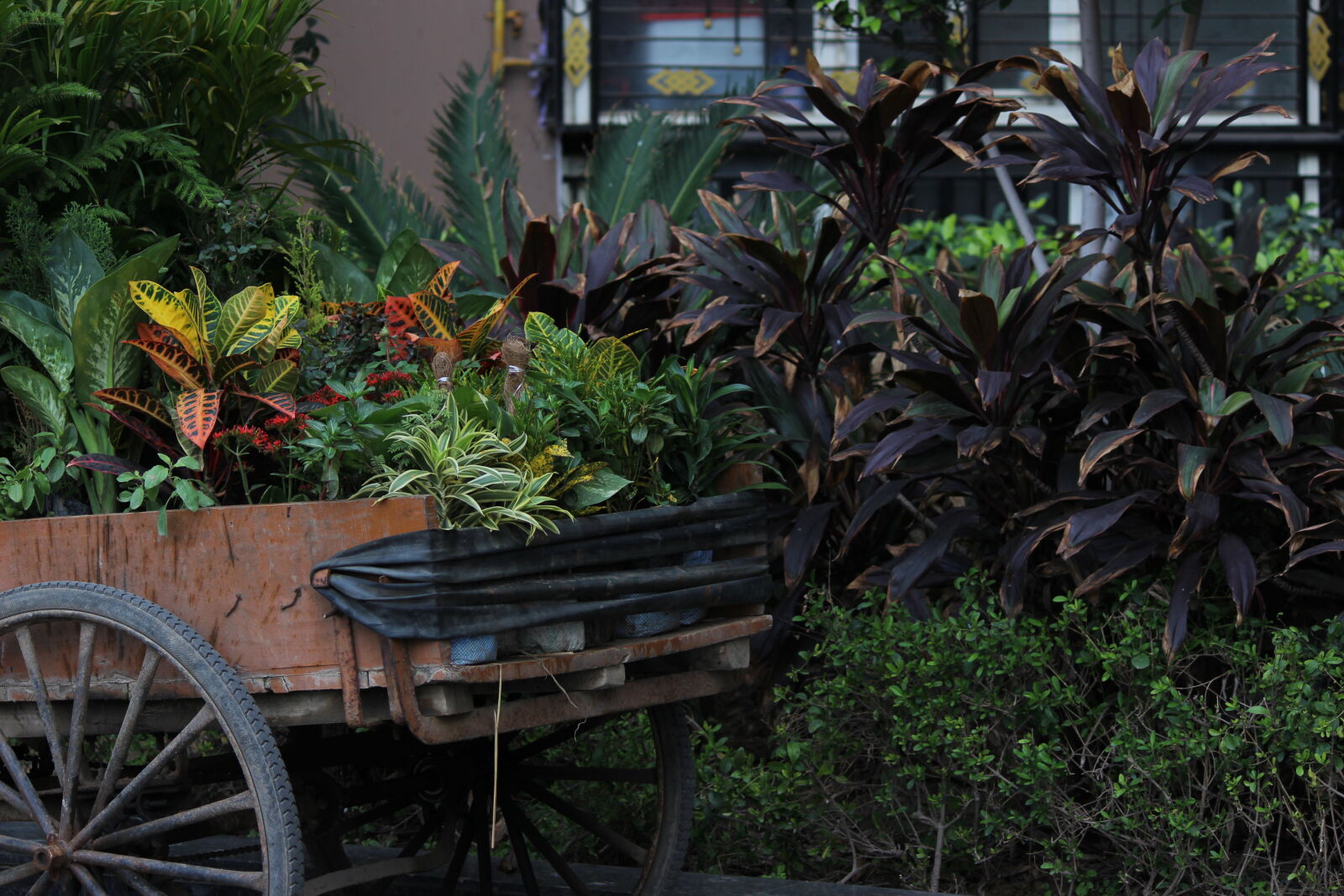 Canon EOS 600D (Rebel EOS T3i / EOS Kiss X5) sample photo
