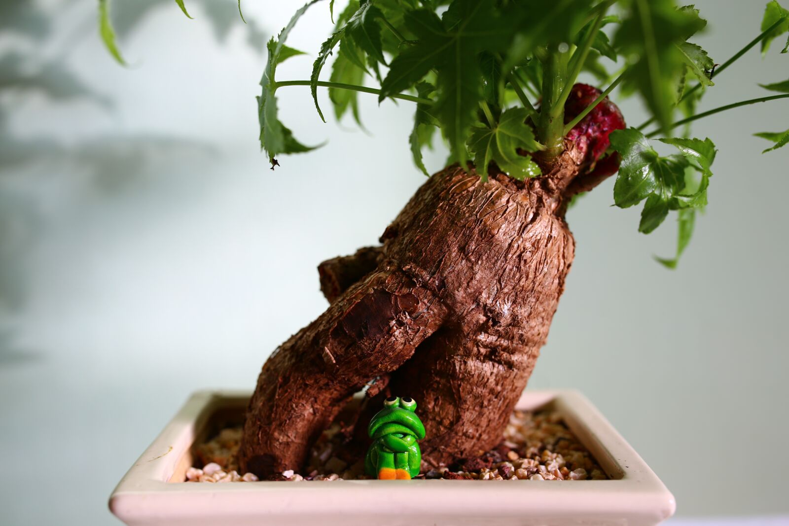 Canon EOS 6D sample photo. Bonsai, frog, buddha photography