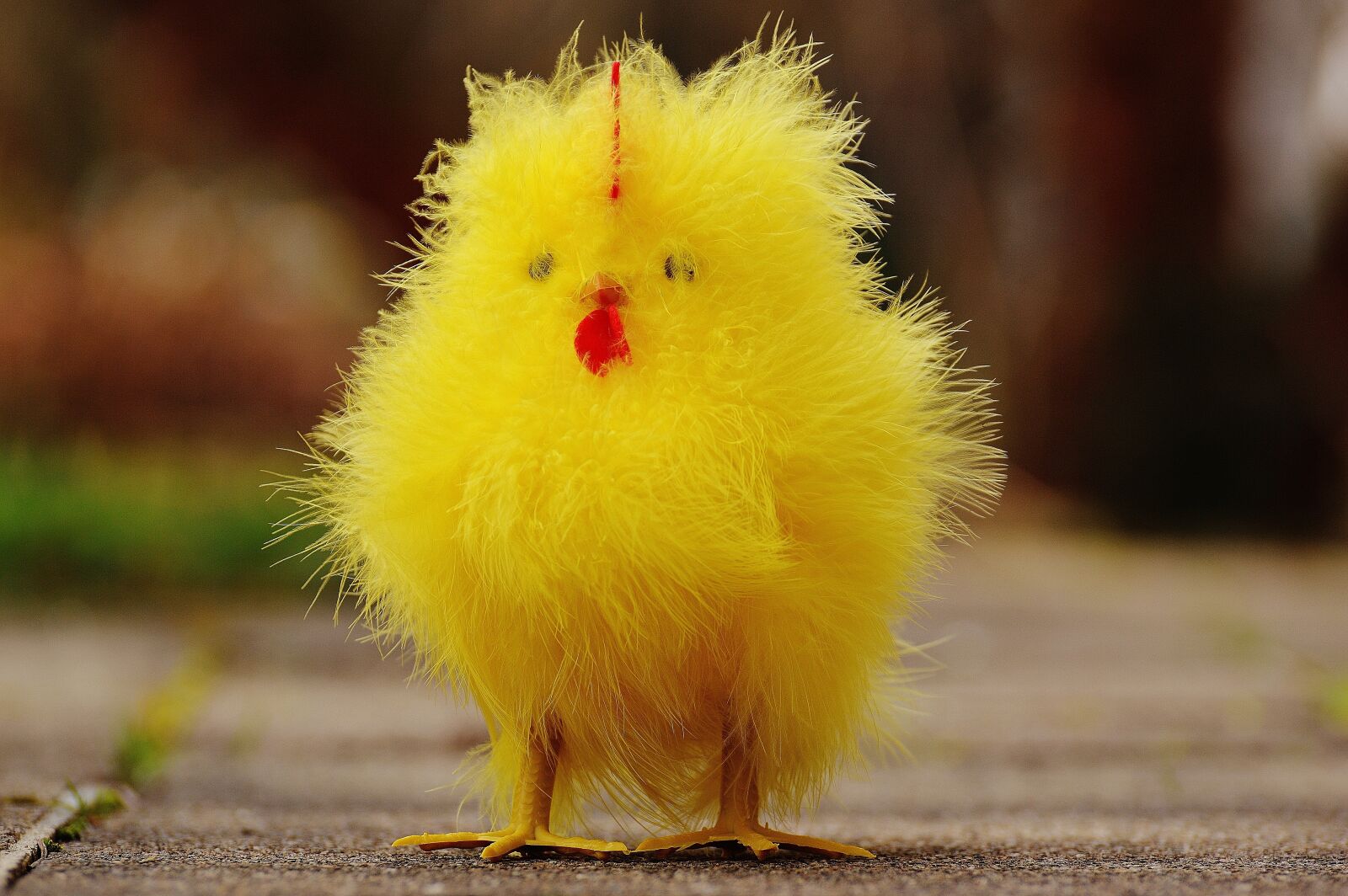 Nikon D3200 sample photo. Chicks, easter, cute photography