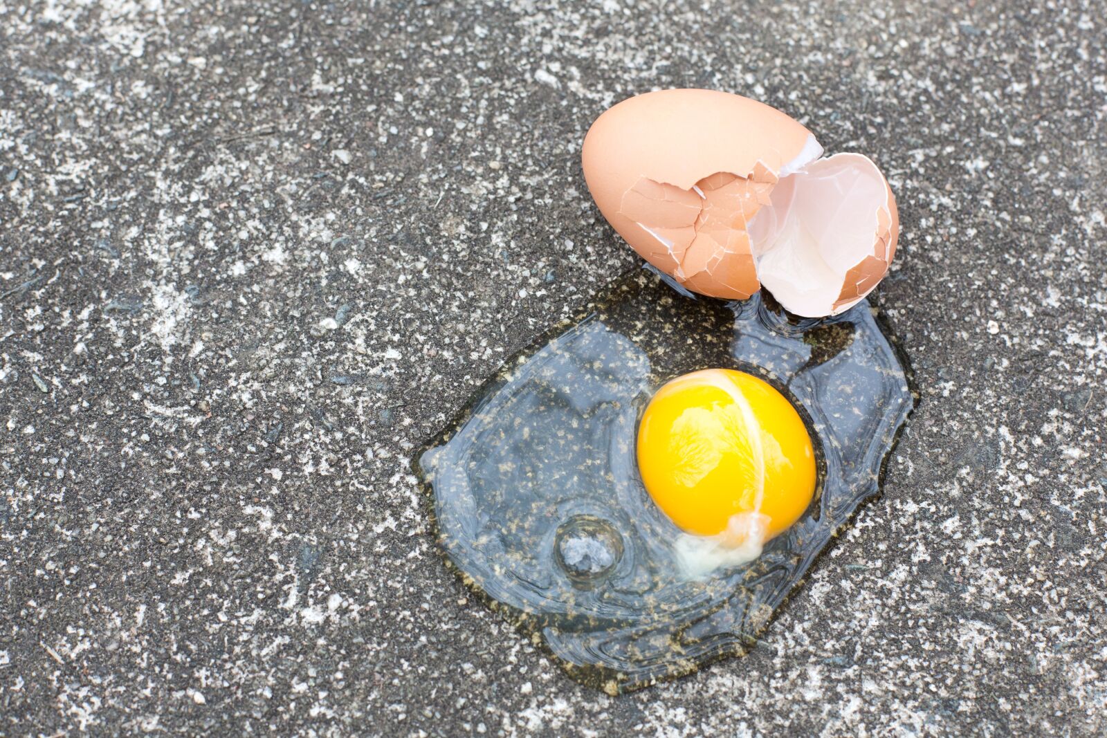 Canon EF 50mm F1.4 USM sample photo. Color, egg, broken photography