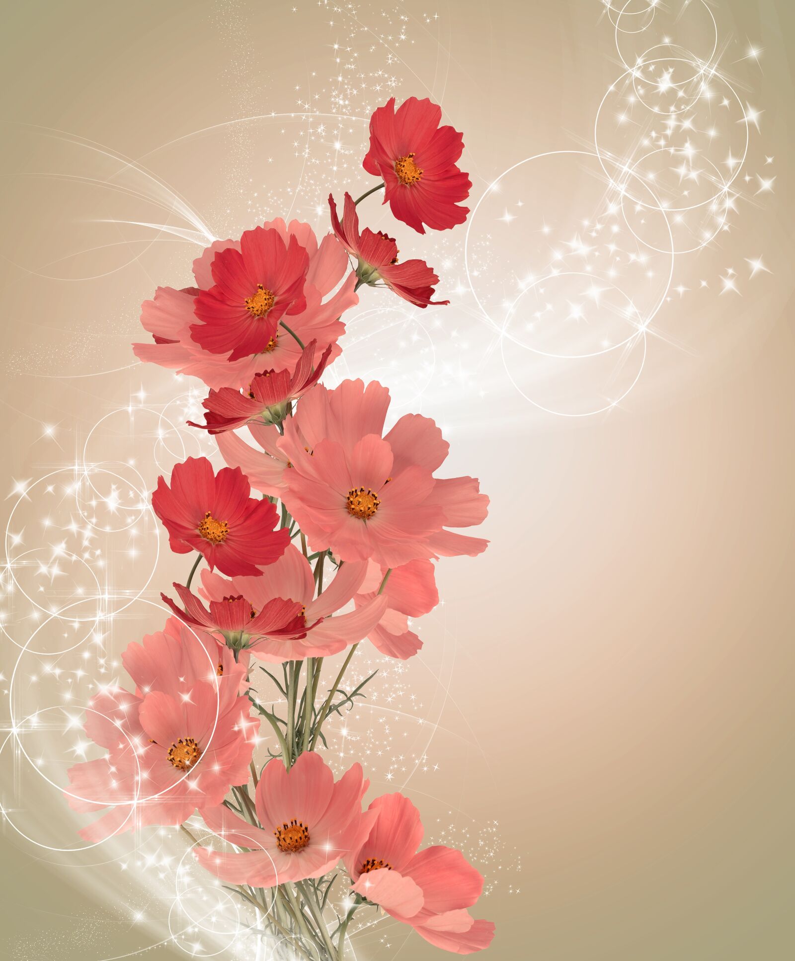 Nikon D5000 sample photo. Flower, background, postcard photography