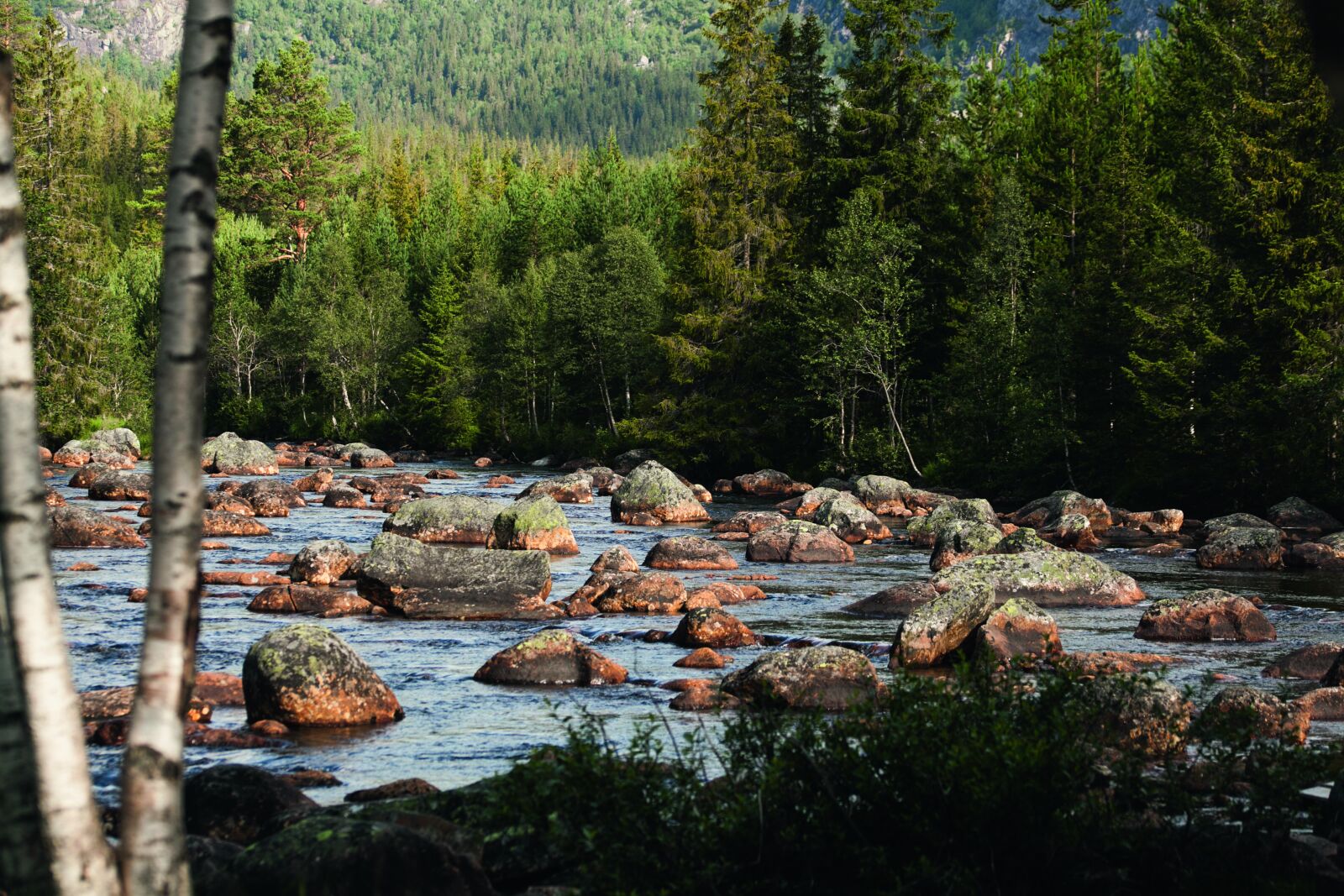 Canon EOS 5D Mark II sample photo. Norway, bach, water photography